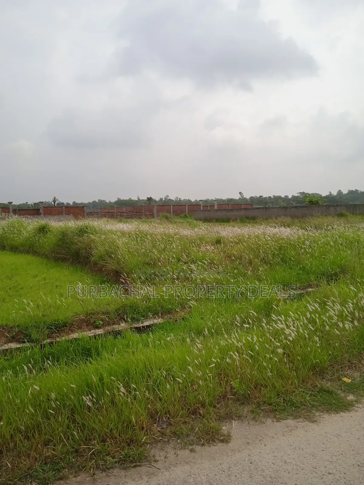 South-facing lake view 5 katha plot for sale in Bashundhara Residential Area in Bashundhara City