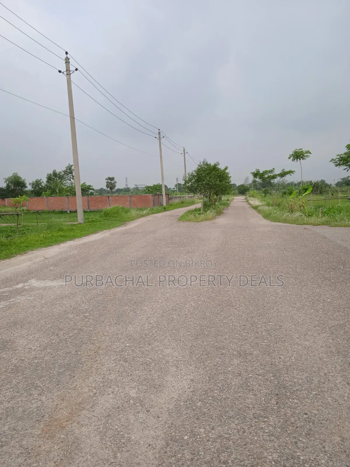 South-facing lake view 5 katha plot for sale in Bashundhara Residential Area in Bashundhara City