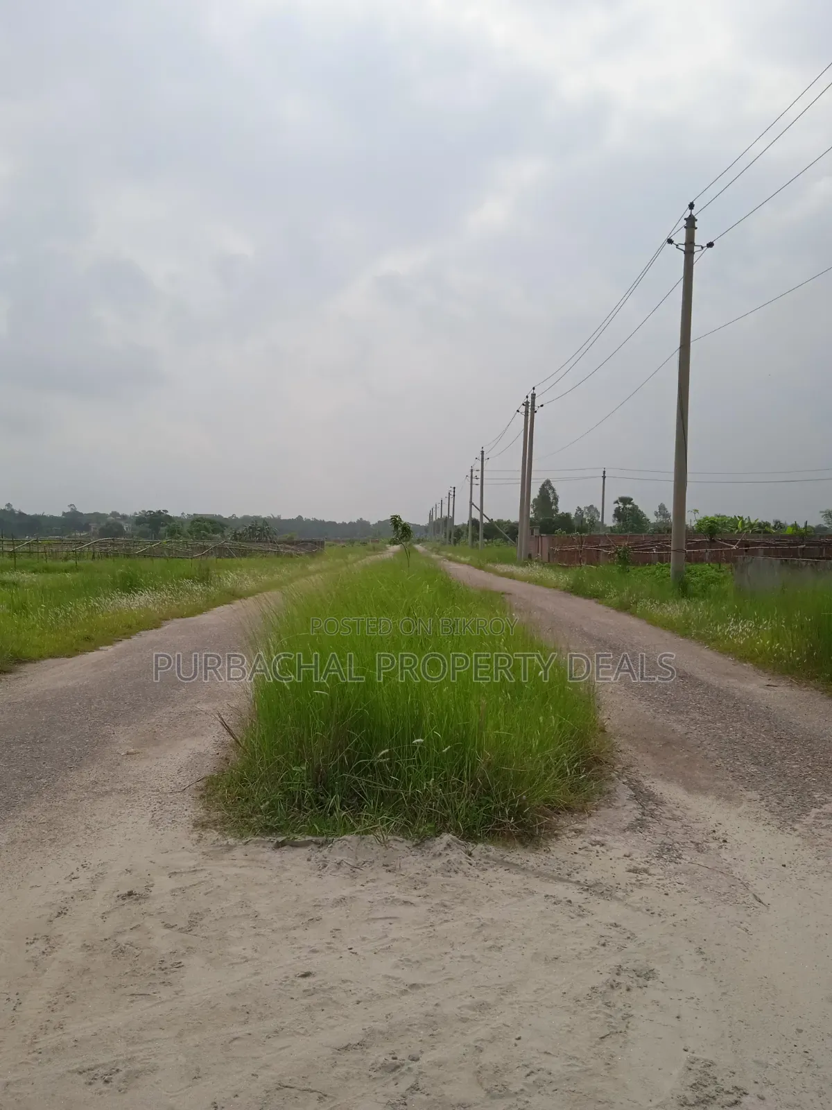 South-facing lake view 5 katha plot for sale in Bashundhara Residential Area in Bashundhara City