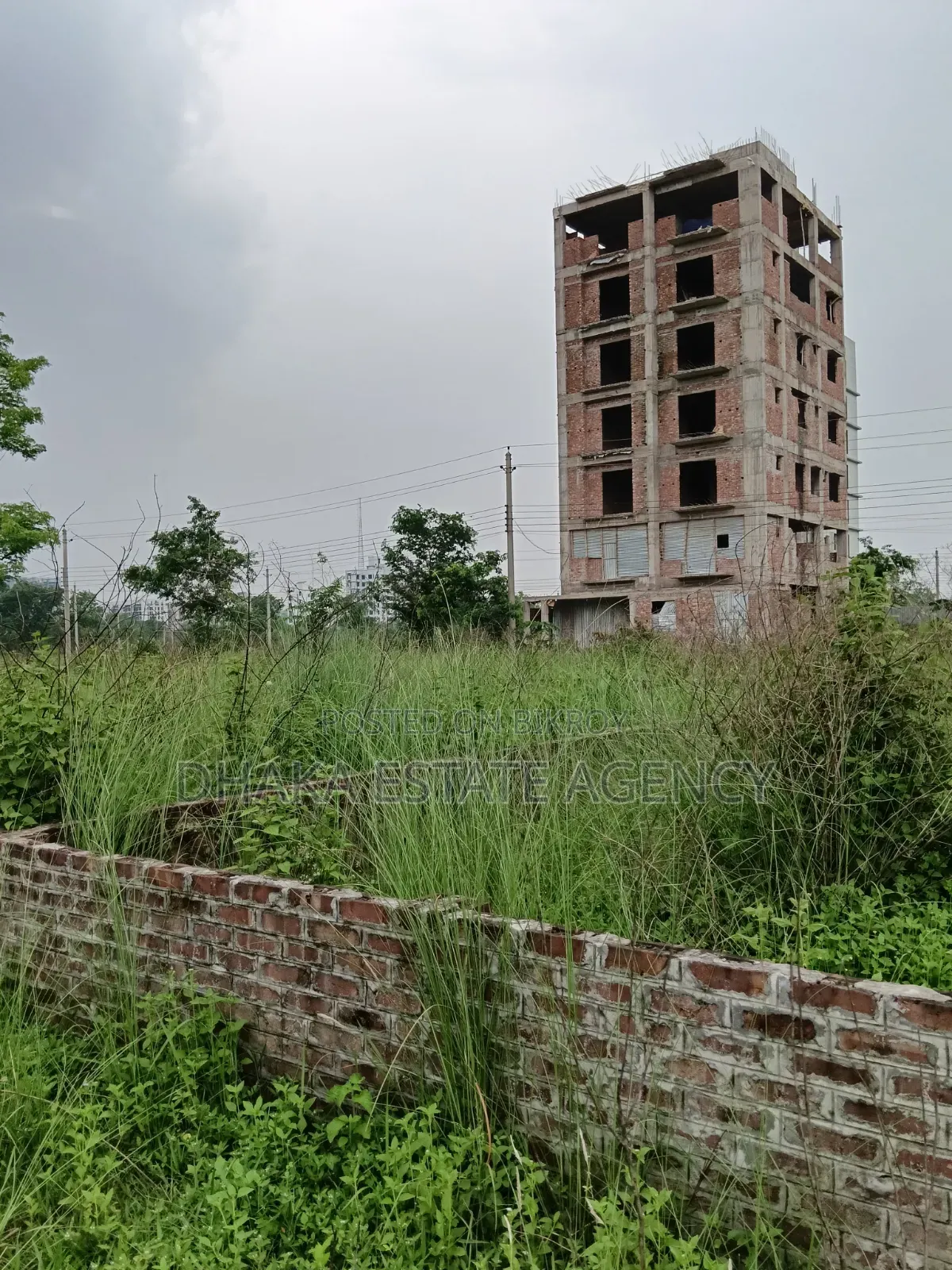 Urgent 3 Katha Block-L, 3200 Serial in Basundhara