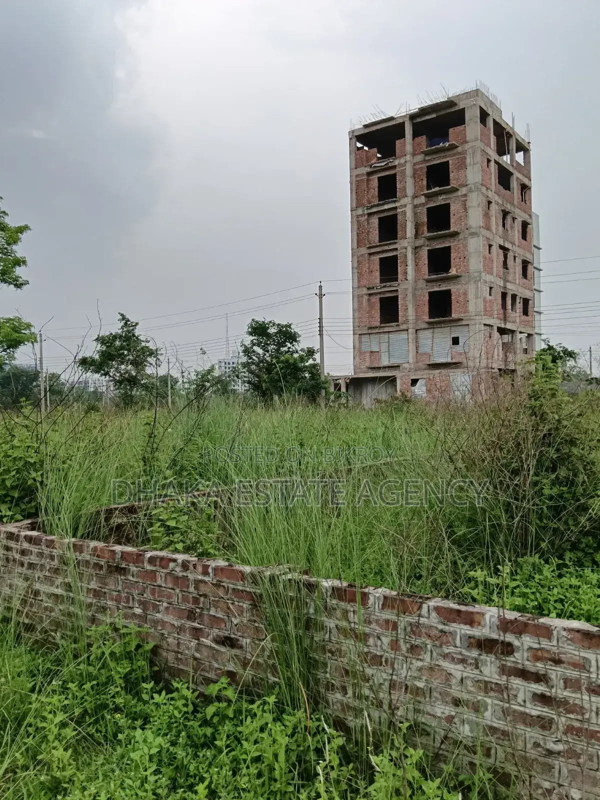 Urgent 3 Katha Block-L, 3200 Serial in Basundhara
