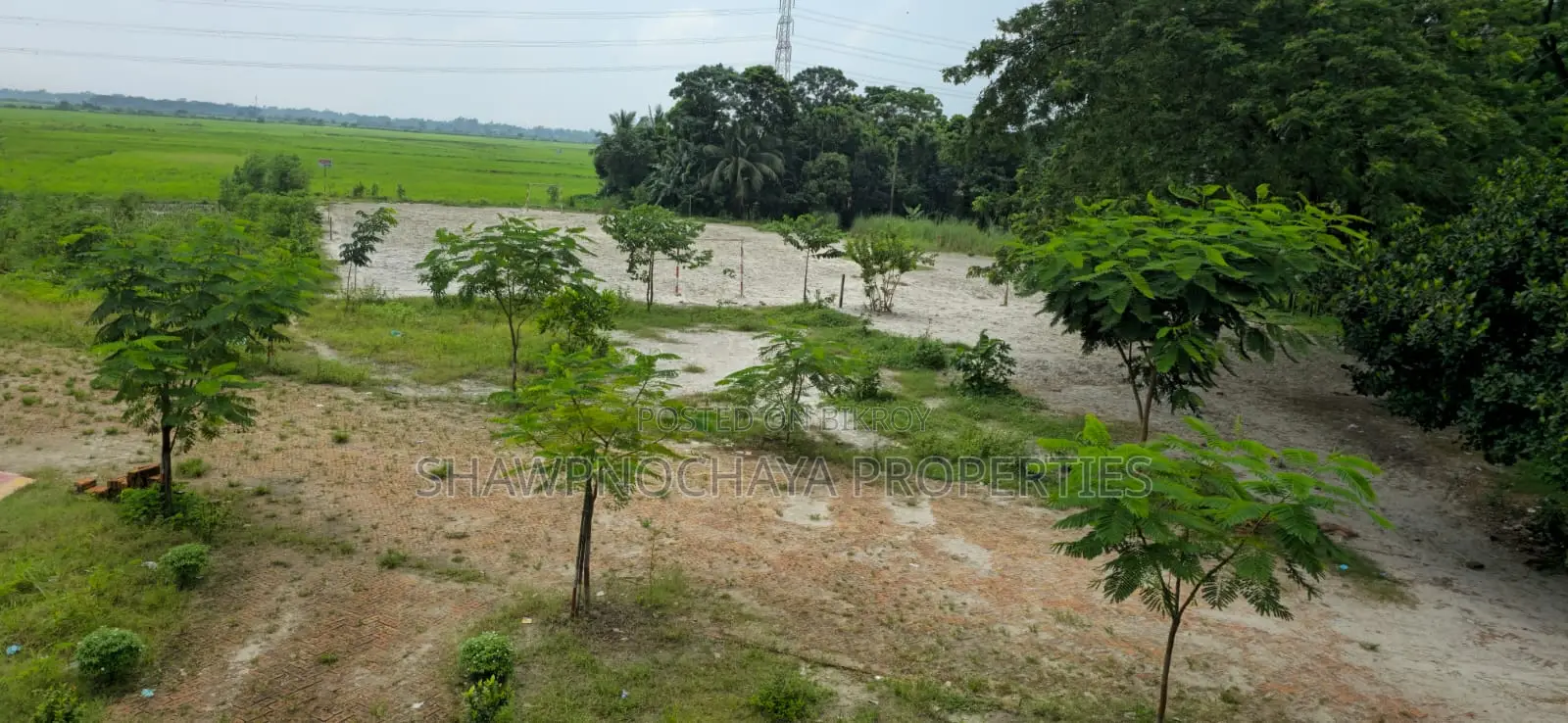 5 Katha Plot Dhaka Mawa Road Block A in Sirajdikhan