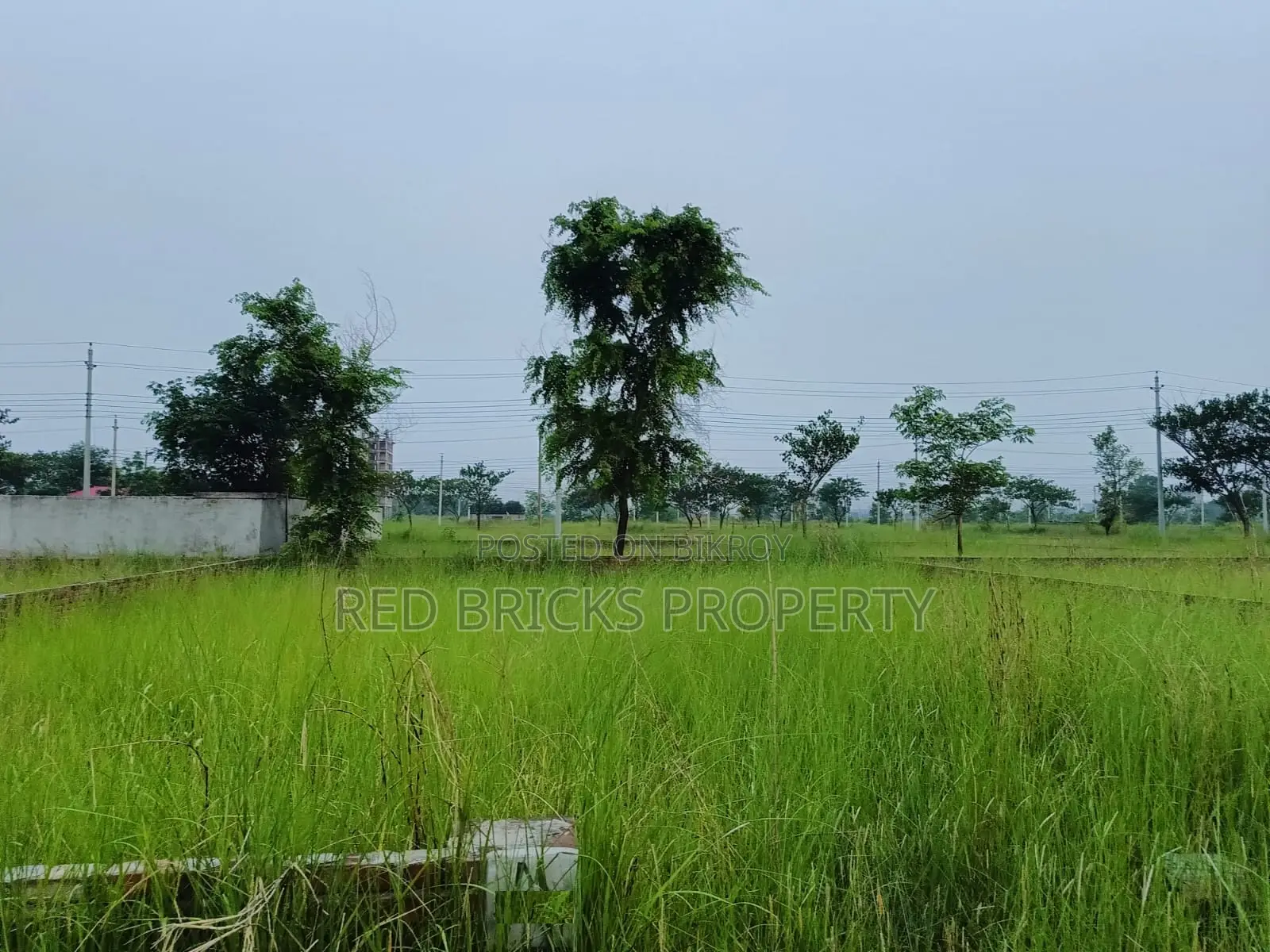 N Block 3 Katha Plot Sell in Basundhara