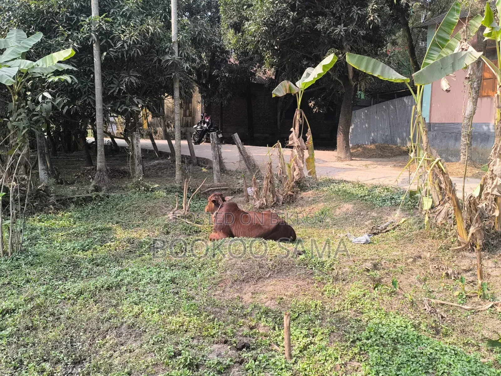 Private land for urgent sale in Dakshinkhan area. in Tongi