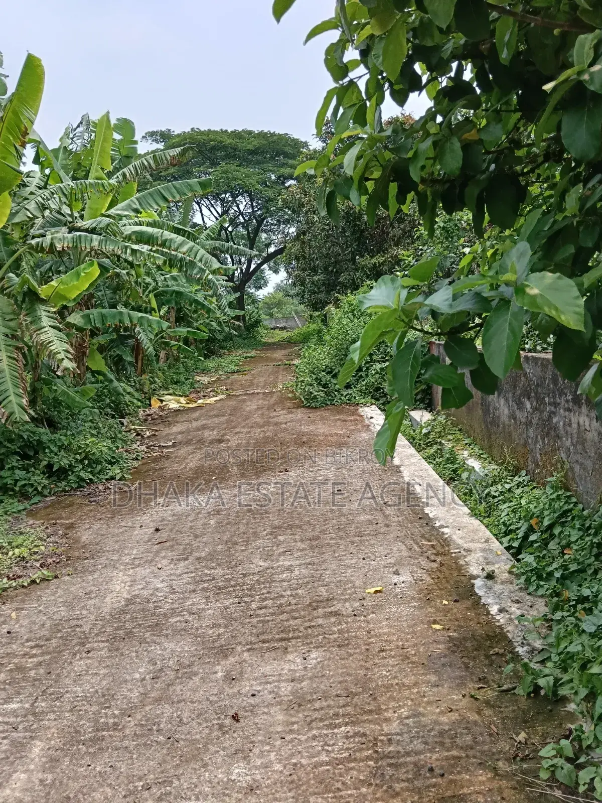 75 Feet Road 5 Katha Sector-15 in Purbachal