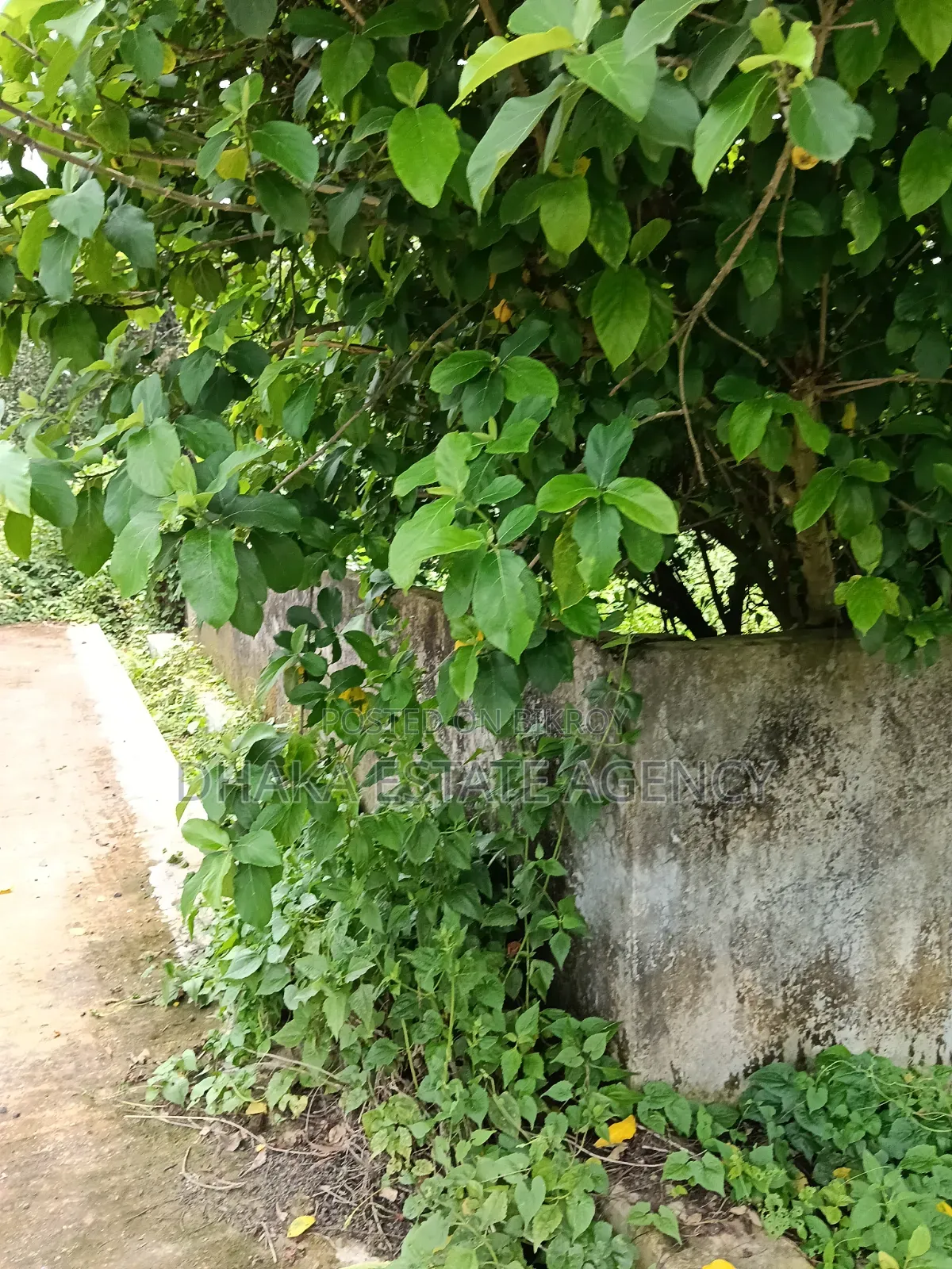 75 Feet Road 5 Katha Sector-15 in Purbachal
