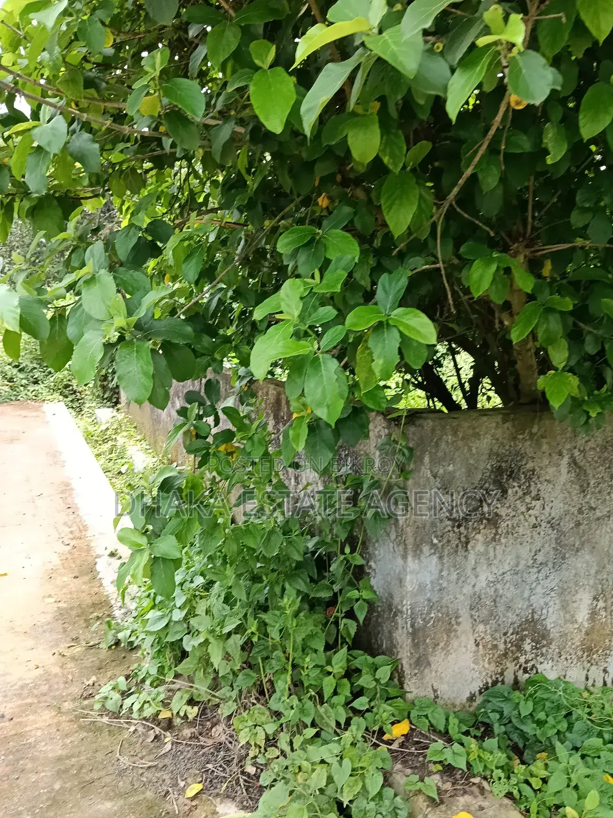 75 Feet Road 5 Katha Sector-15 in Purbachal