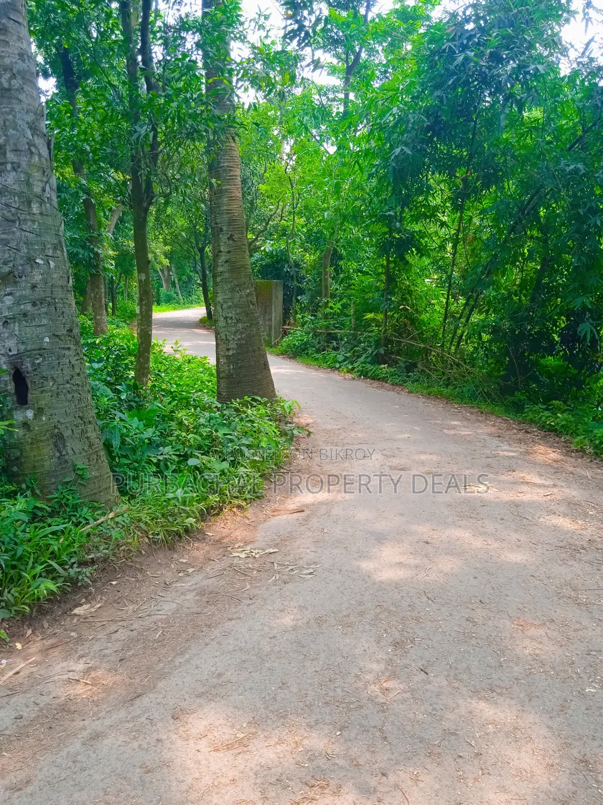20 Katha Premium Land for Sale in Nagari Union, Kaliganj in Kaliganj