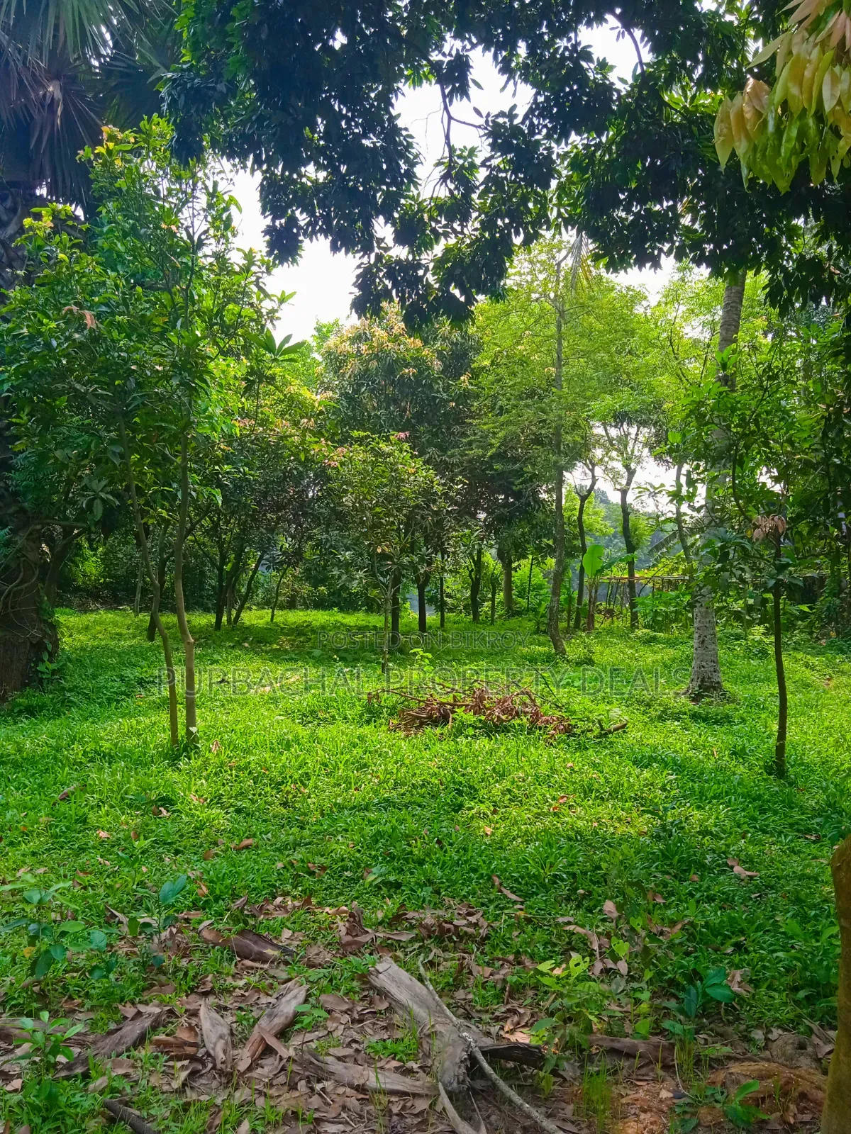 20 Katha Premium Land for Sale in Nagari Union, Kaliganj in Kaliganj