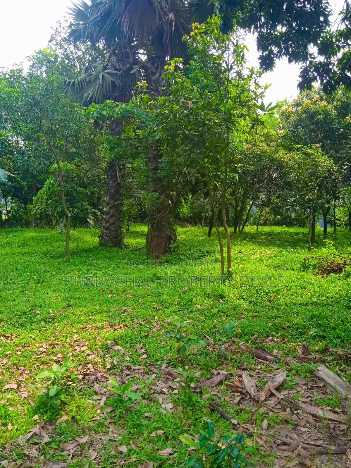 20 Katha Premium Land for Sale in Nagari Union, Kaliganj in Kaliganj