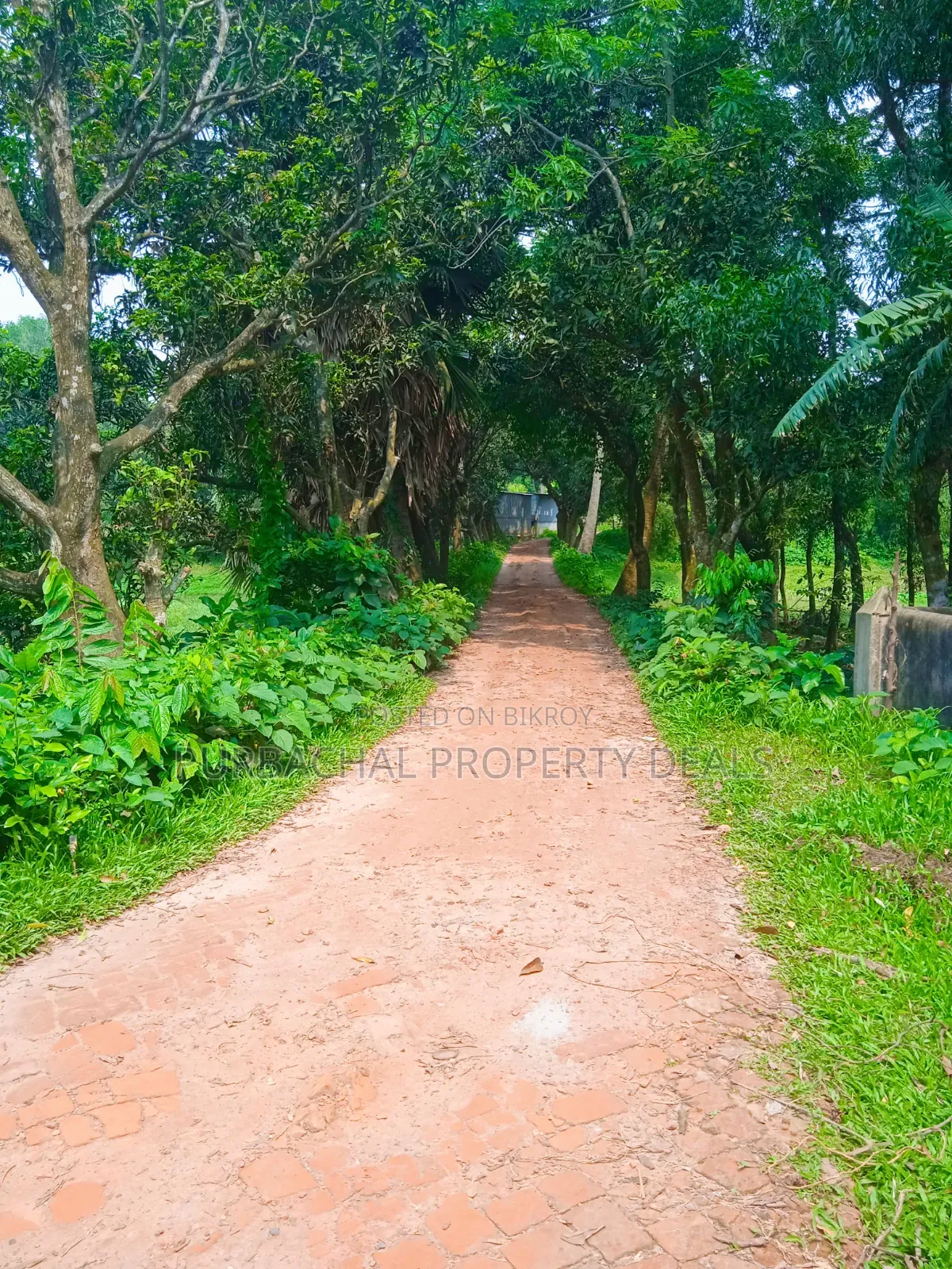 20 Katha Premium Land for Sale in Nagari Union, Kaliganj in Kaliganj