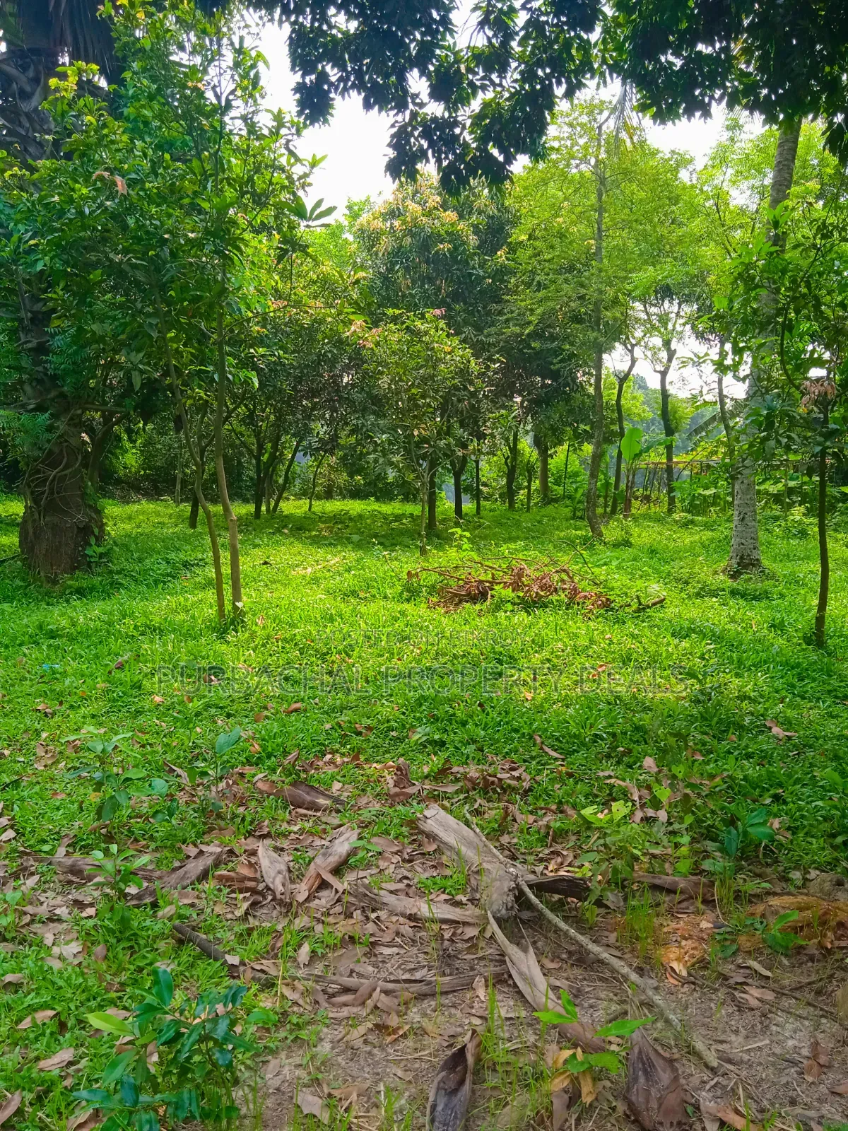 20 Katha Premium Land for Sale in Nagari Union, Kaliganj in Kaliganj