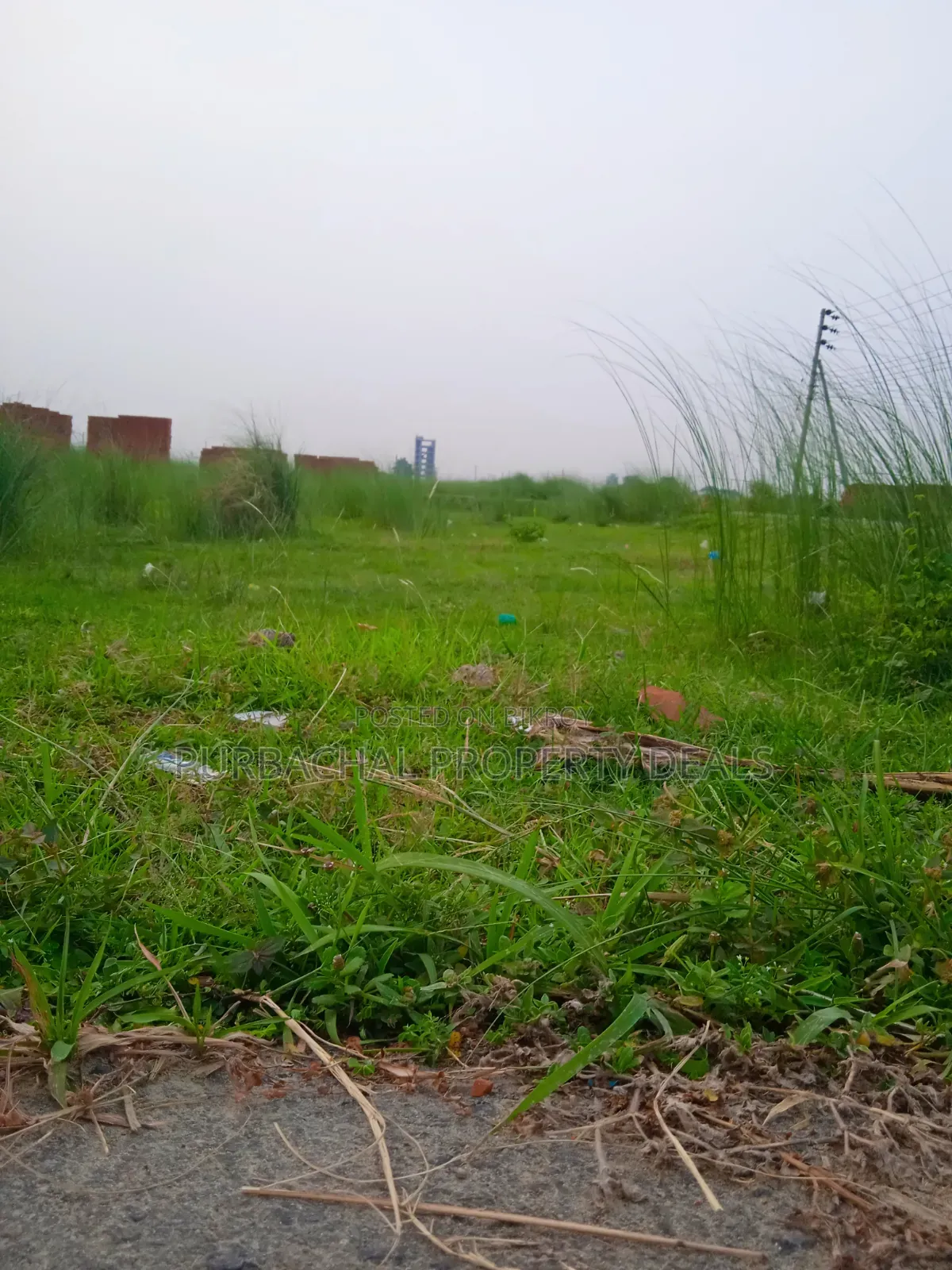 Bashundhara Block M – Premium 4 Katha South-Facing Plot for Sale in Basundhara