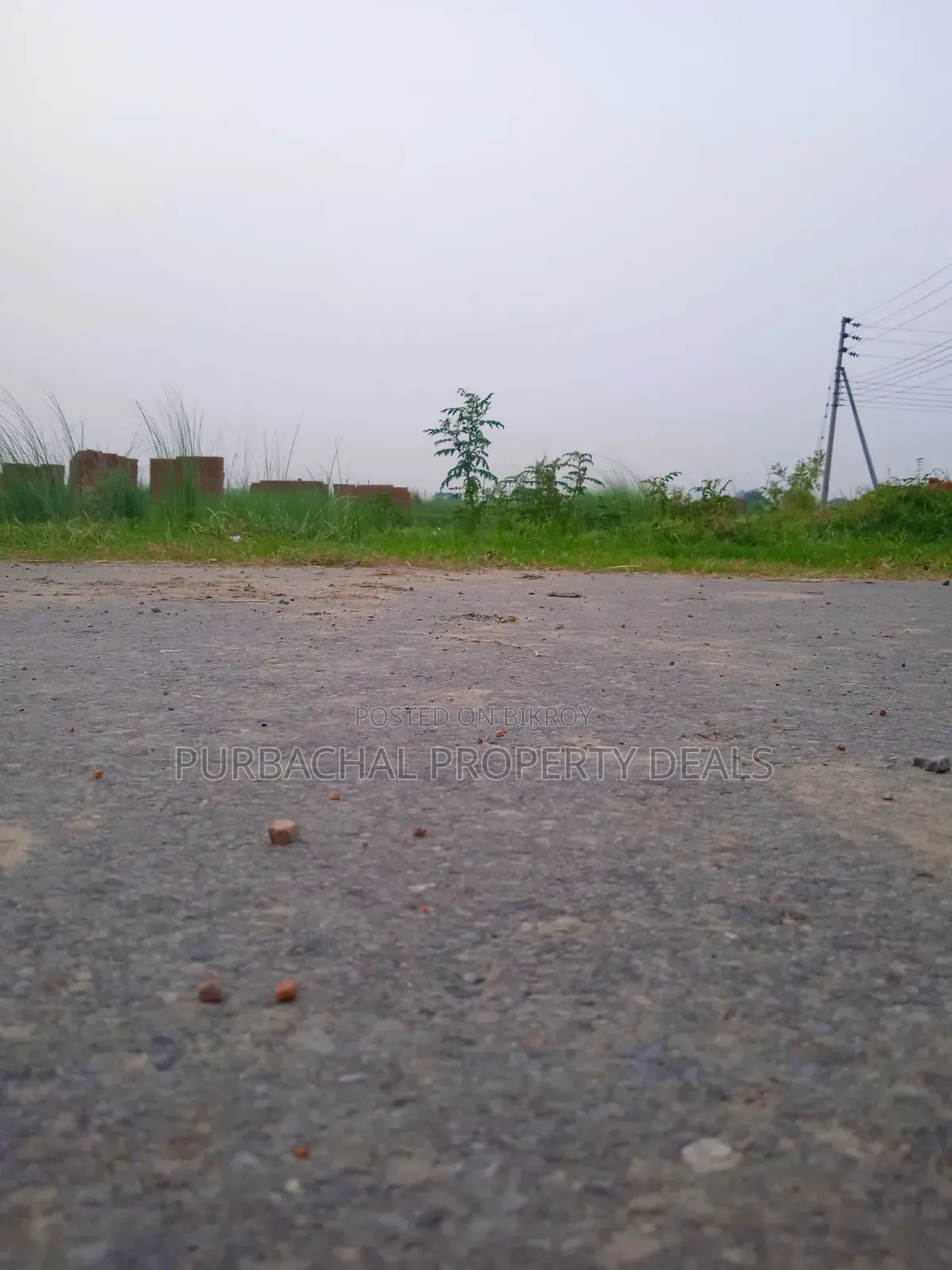 Bashundhara Block M – Premium 4 Katha South-Facing Plot for Sale in Basundhara