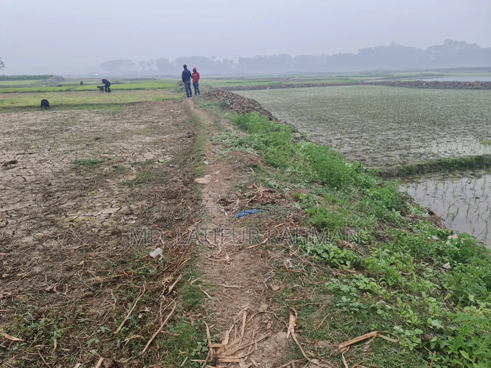 Land for sale in Gazipur Sadar