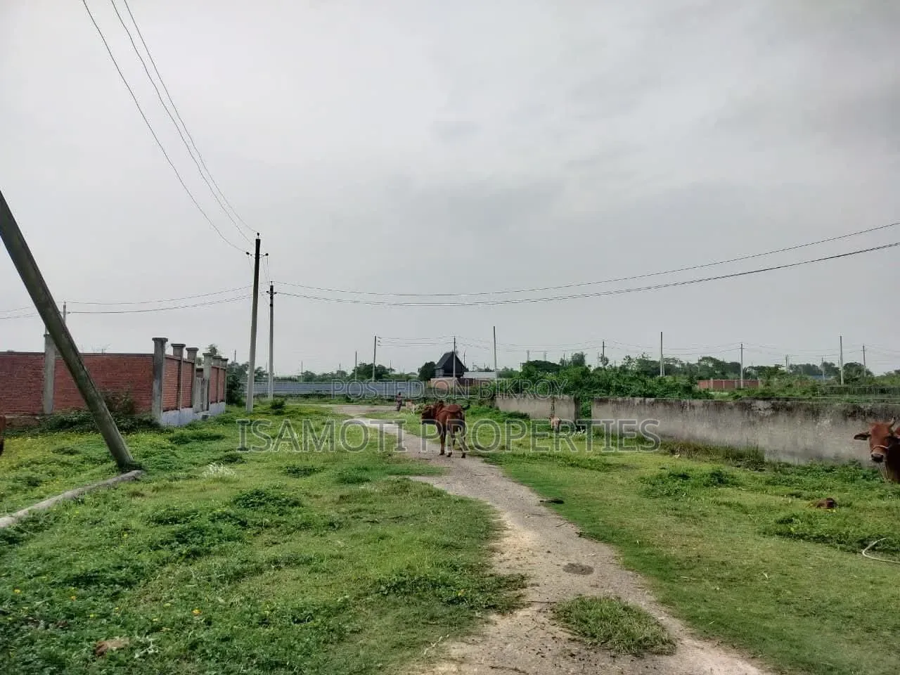 South East Corner 3 Katha Plot for Sale in Sector 20 in Purbachal