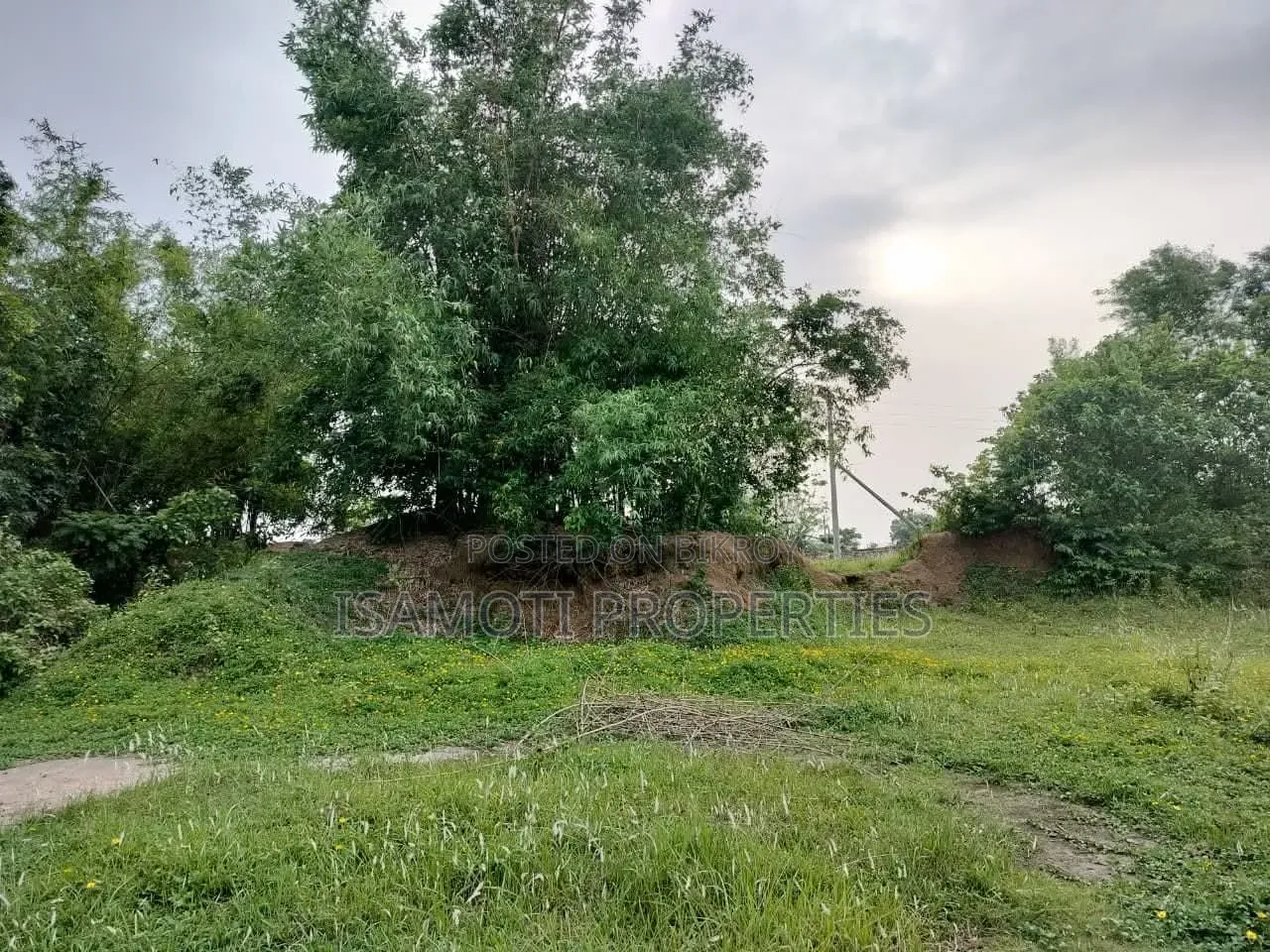 South East Corner 3 Katha Plot for Sale in Sector 20 in Purbachal