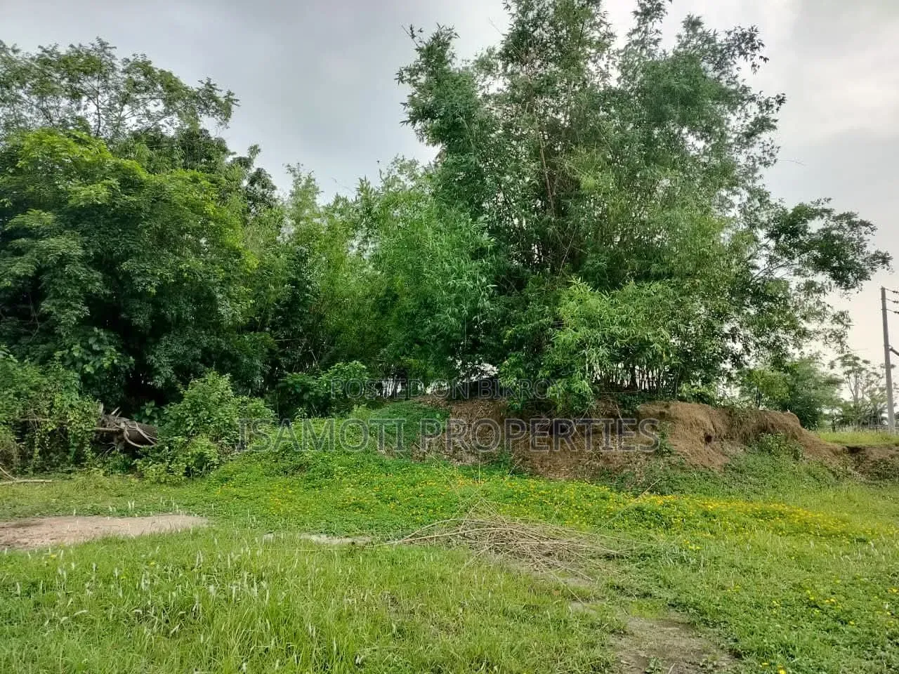 South East Corner 3 Katha Plot for Sale in Sector 20 in Purbachal