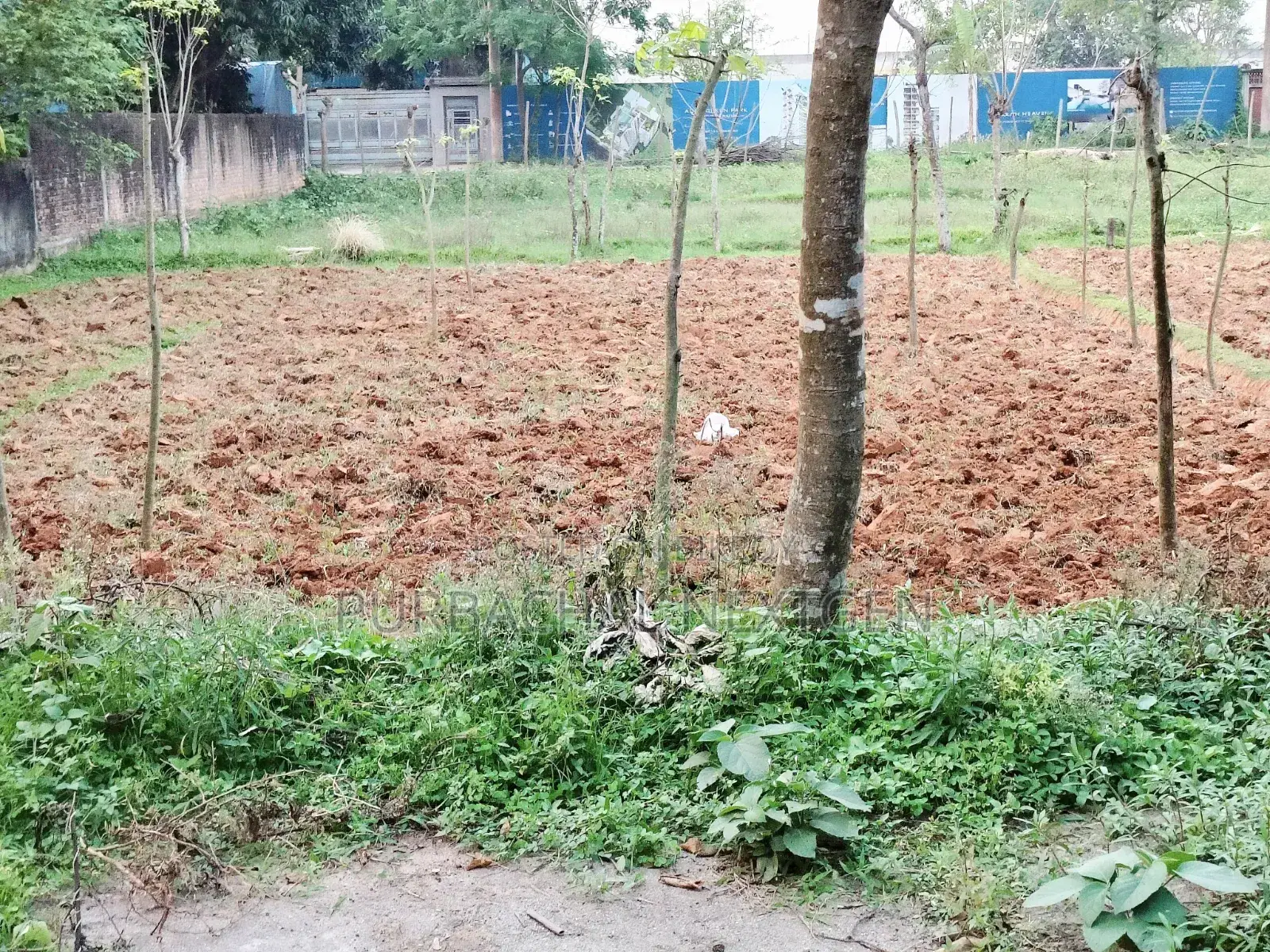 5 Katha South-Facing Plot Sale Near Lake at Sector 22, Purbachal in Purbachal