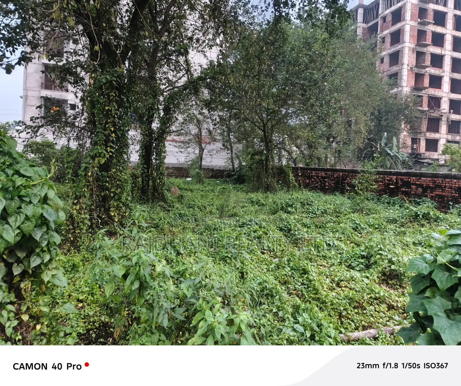 5 Katha Ready Plot for Sale in Block M, Bashundhara Residential Area in Basundhara
