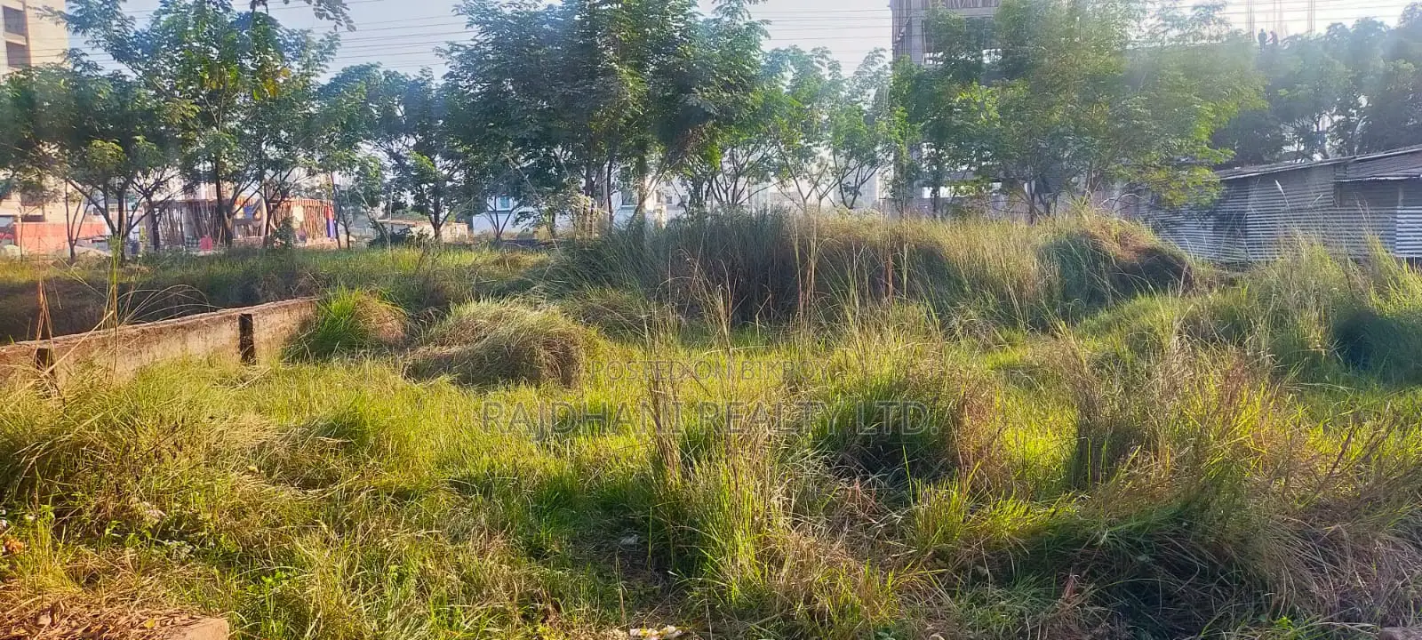 In Dream Bashundhara: 4 Katha Ready Plot for Sale in Block-L in Basundhara