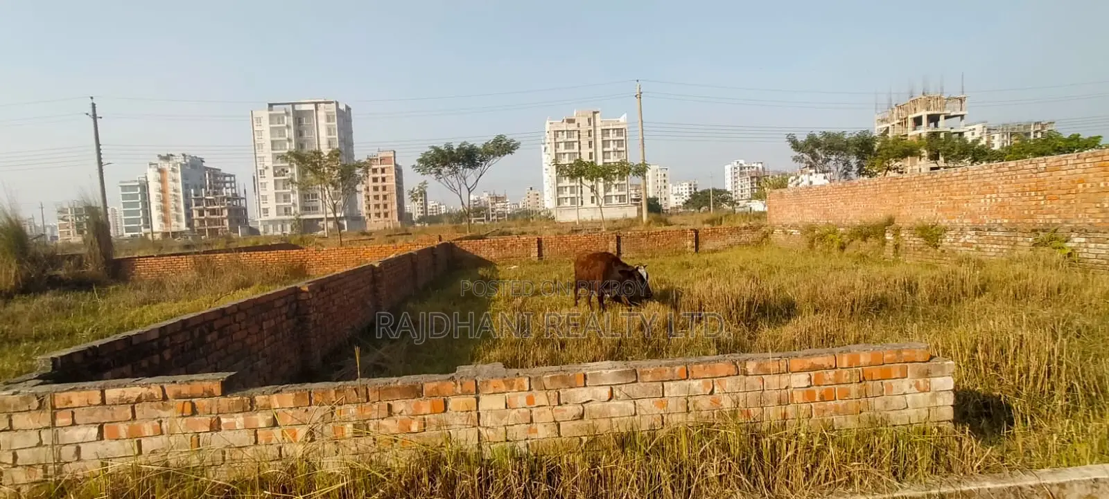 In Dream Bashundhara: 4 Katha Ready Plot for Sale in Block-L in Basundhara