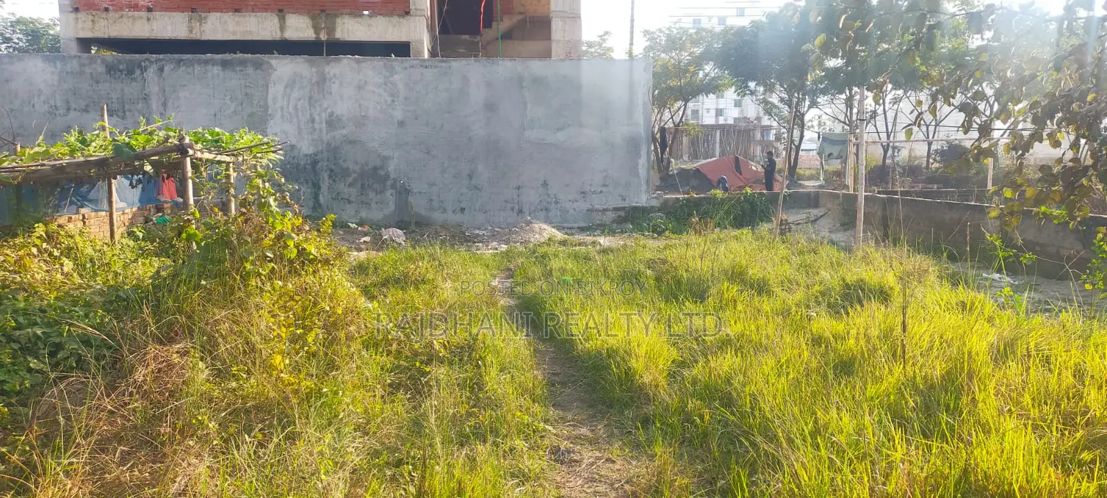 Bashundhara Block-L: 5 Katha Ready Plot in Premium Location in Basundhara
