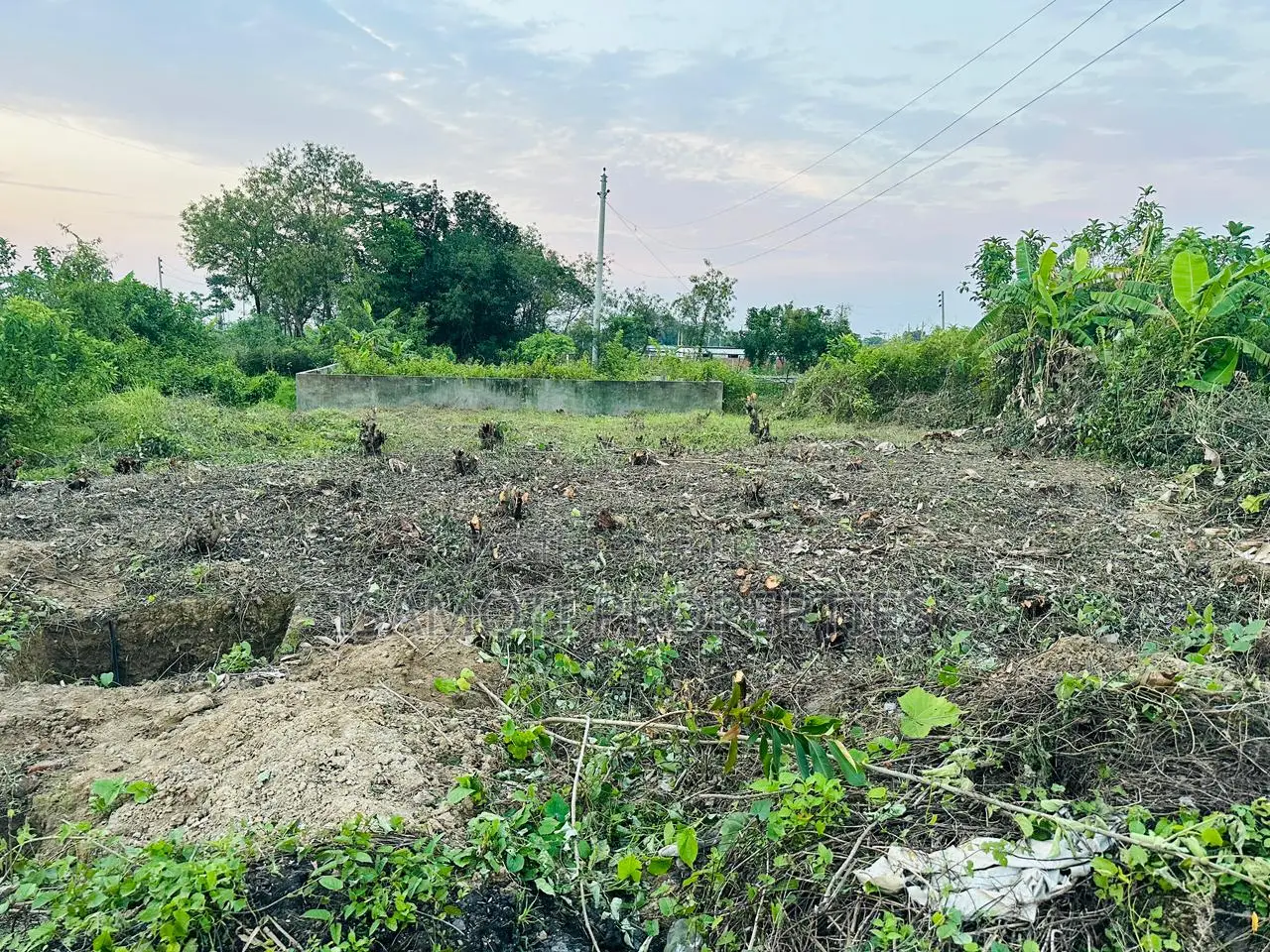 South Face 3 Katha Allotted Plot Sale Purbachal, 75 Feet Road in Purbachal
