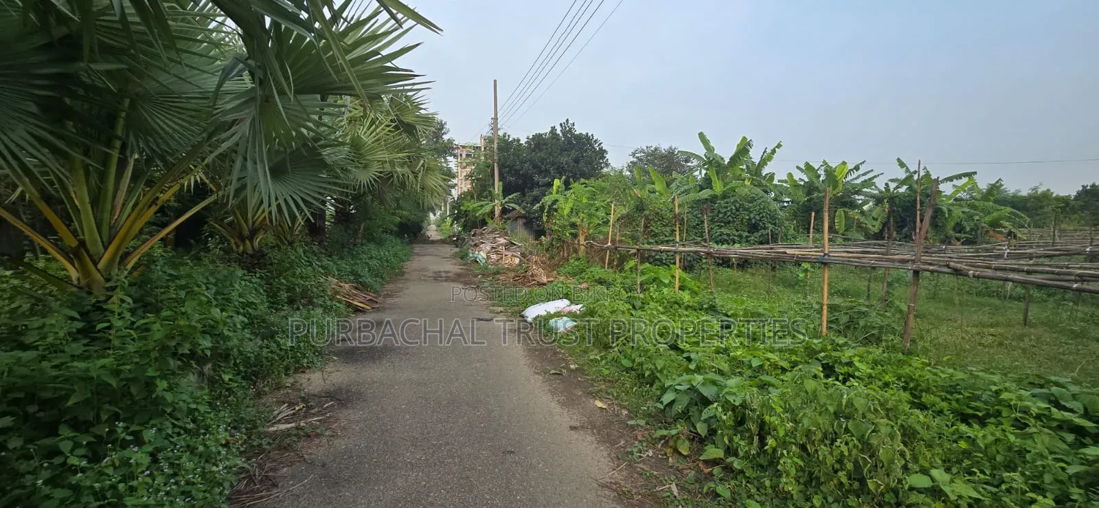 5 Katha North-facing plot for sale in Purbachal Sector 15, on a 54-foot road in Purbachal