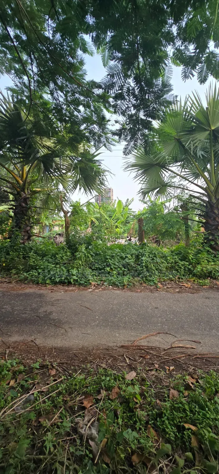 5 Katha North-facing plot for sale in Purbachal Sector 15, on a 54-foot road in Purbachal