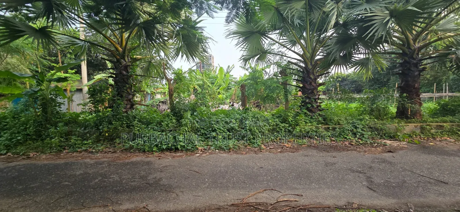 5 Katha North-facing plot for sale in Purbachal Sector 15, on a 54-foot road in Purbachal