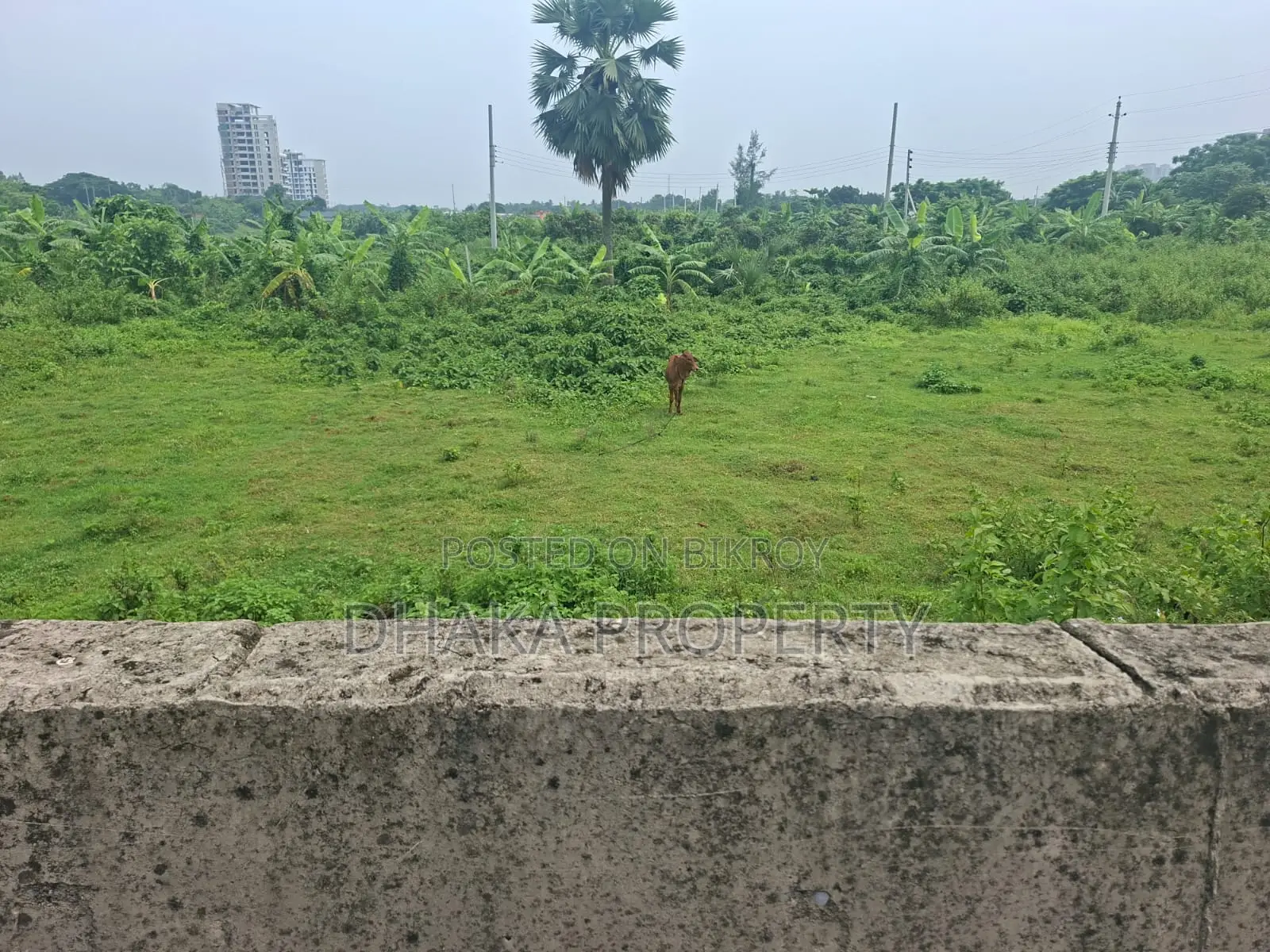 75ft Road 10 Katha North Facing Sector-16 in Purbachal