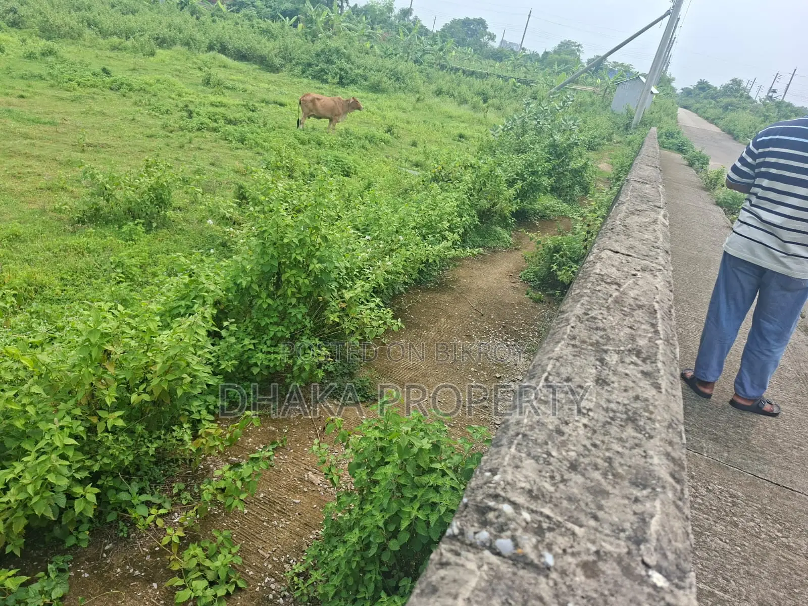 75ft Road 10 Katha North Facing Sector-16 in Purbachal