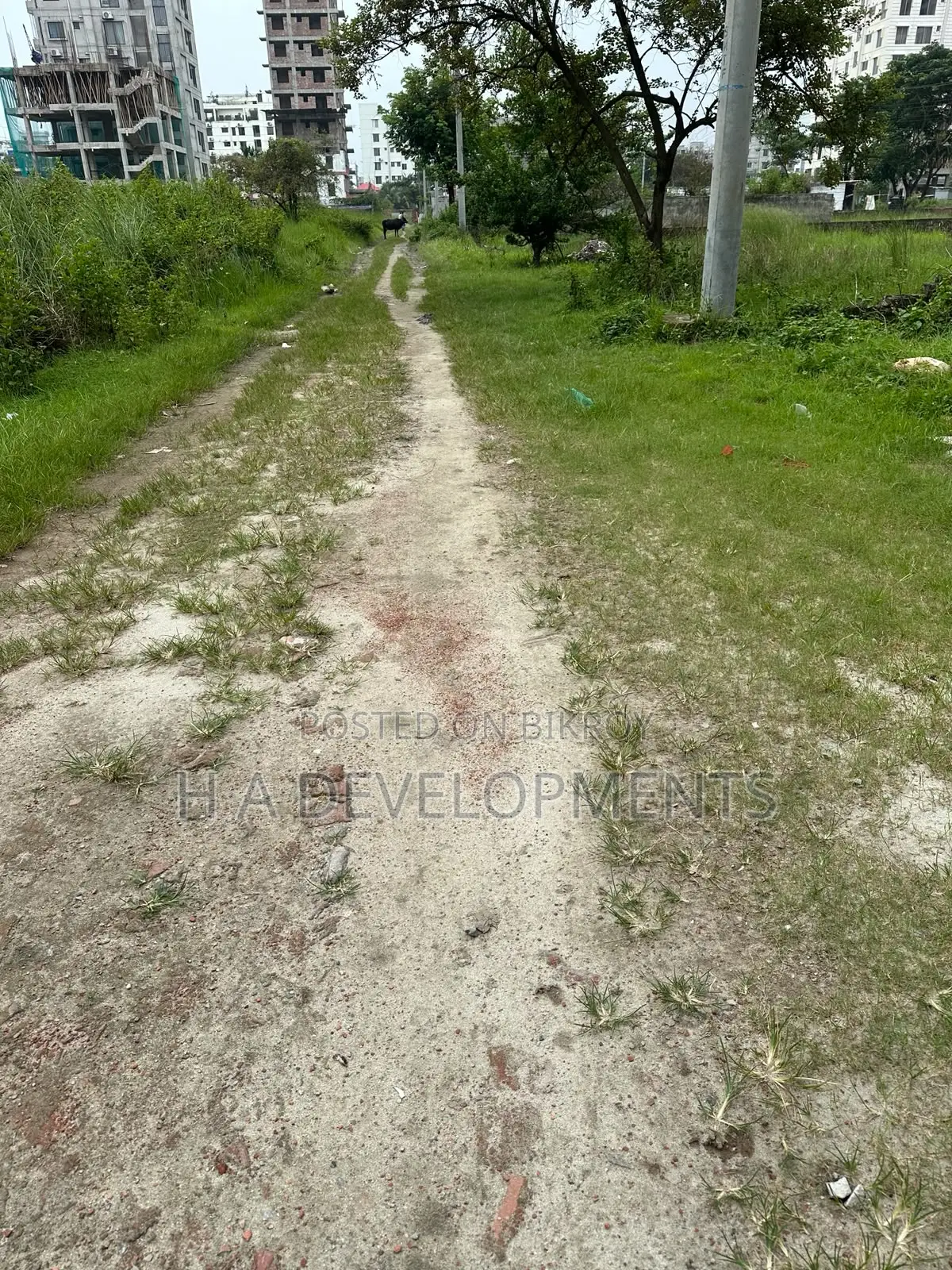 4 Katha Premium Plot for Sale in Bashundhara M Block in Basundhara