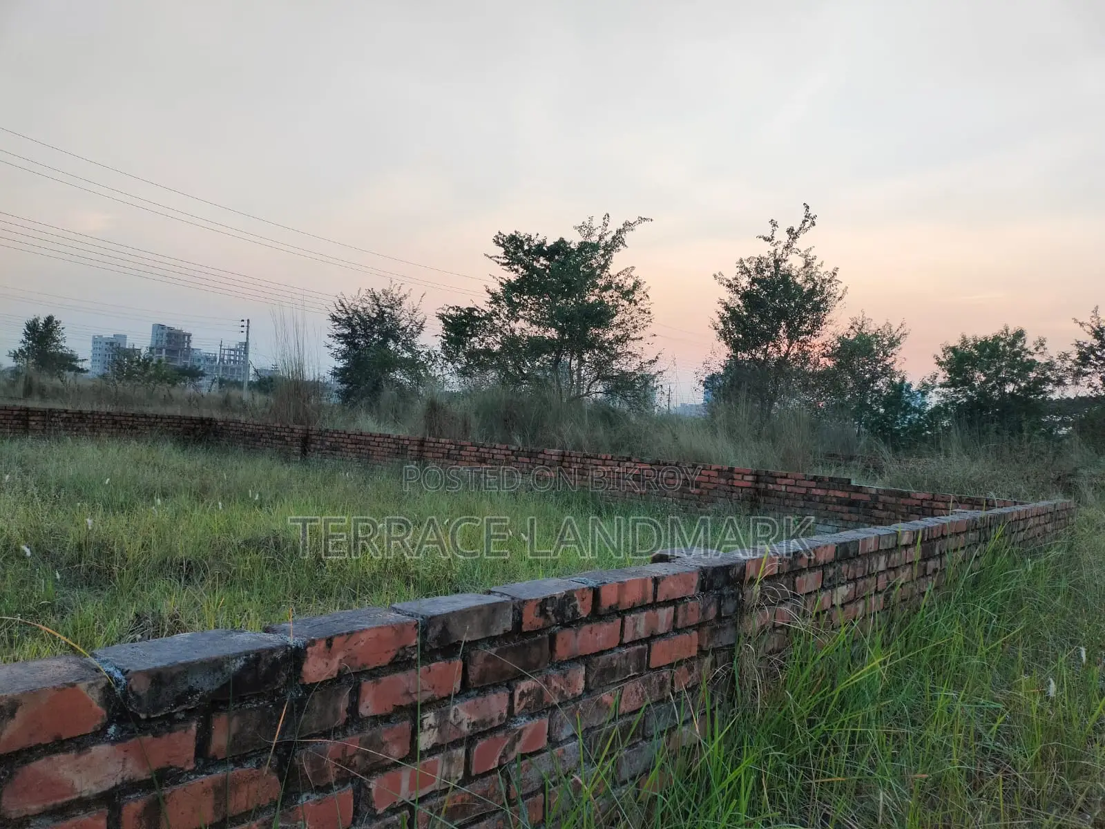 Best Deal in P Block South Face 3 Katha Plot for Sale in Basundhara