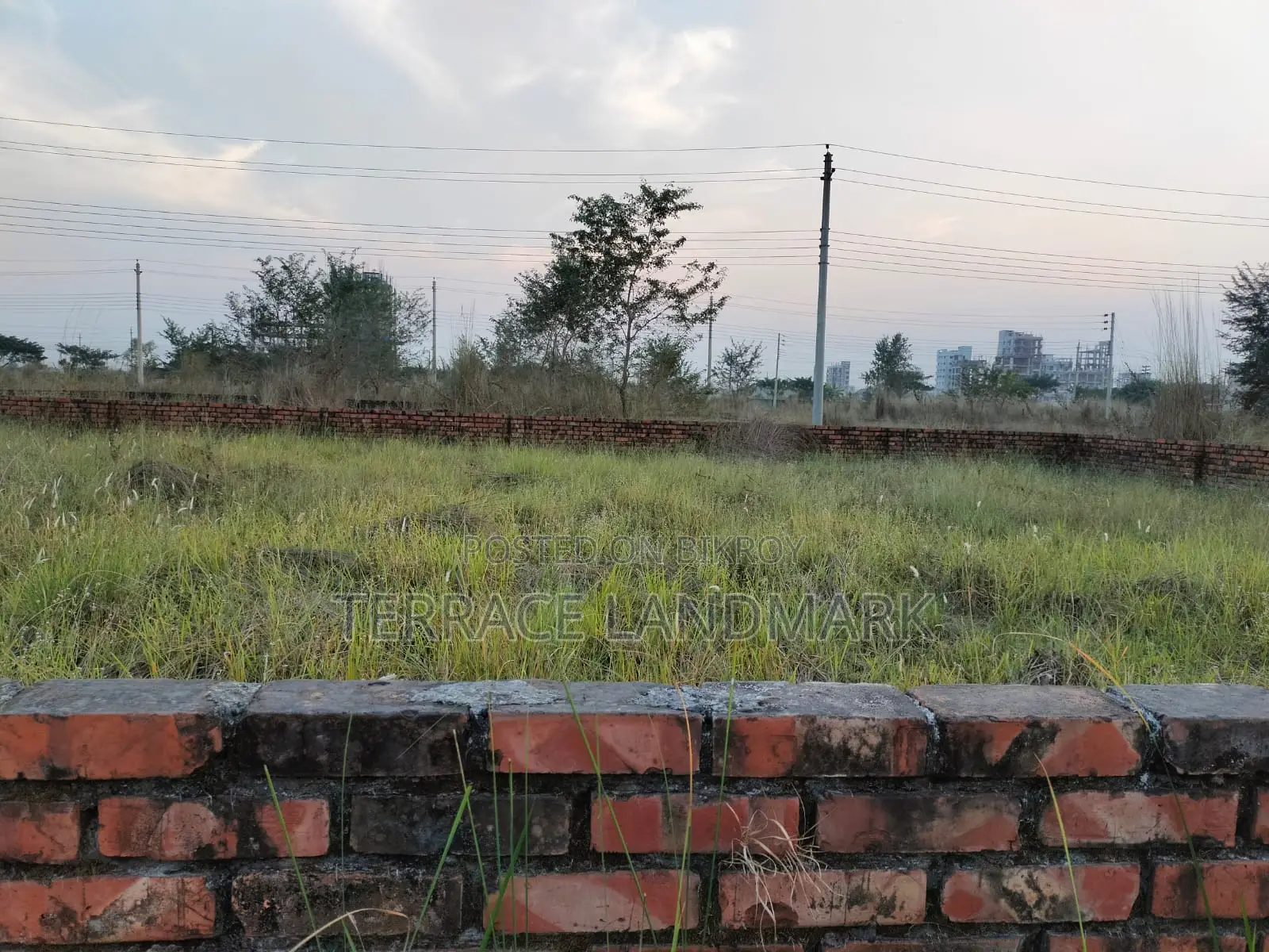 Best Deal in P Block South Face 3 Katha Plot for Sale in Basundhara