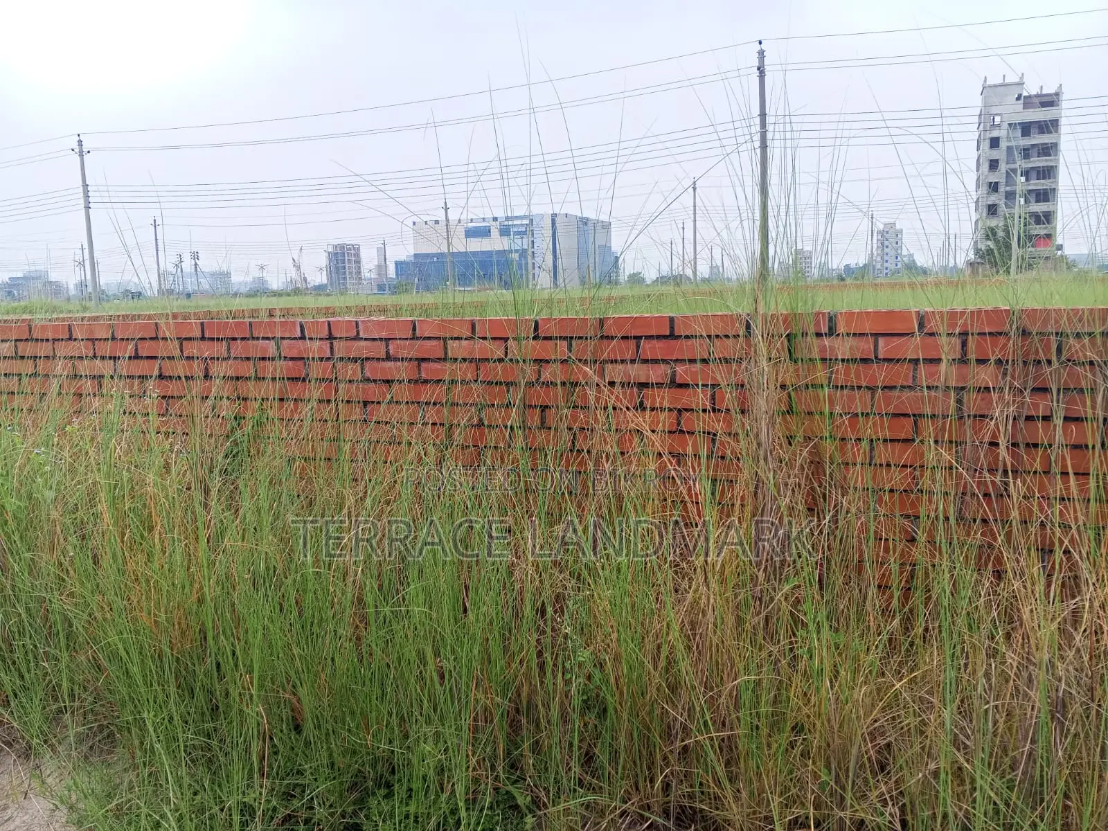 Best Plot in P Block 6 Katha for Sale in Offer Rate in Basundhara