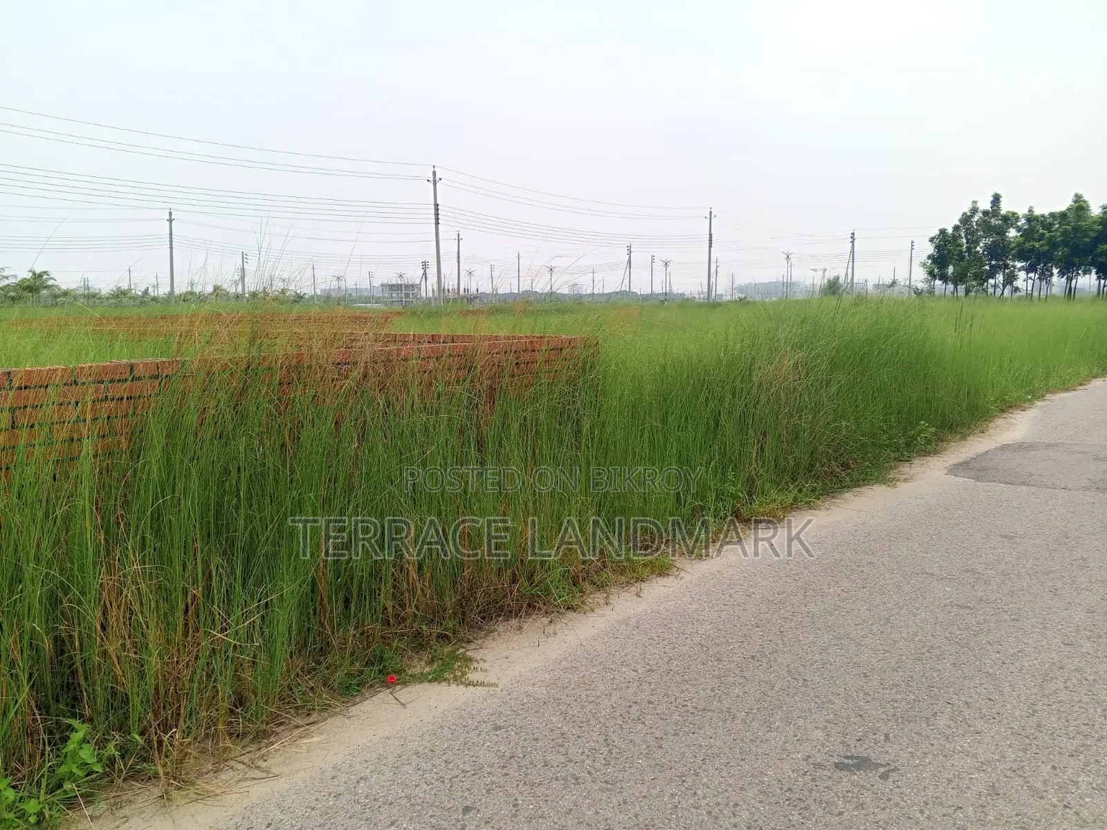 Offer Price - Good Deal N Block 3 Katha in Basundhara