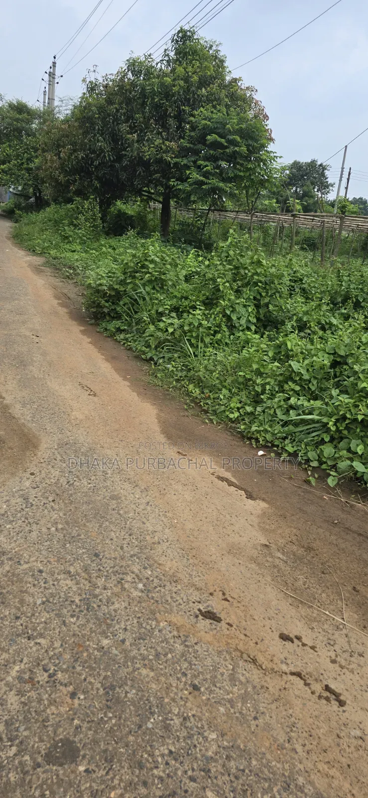 Rajuk Purbachal 5 Katha Sector -22 in Purbachal