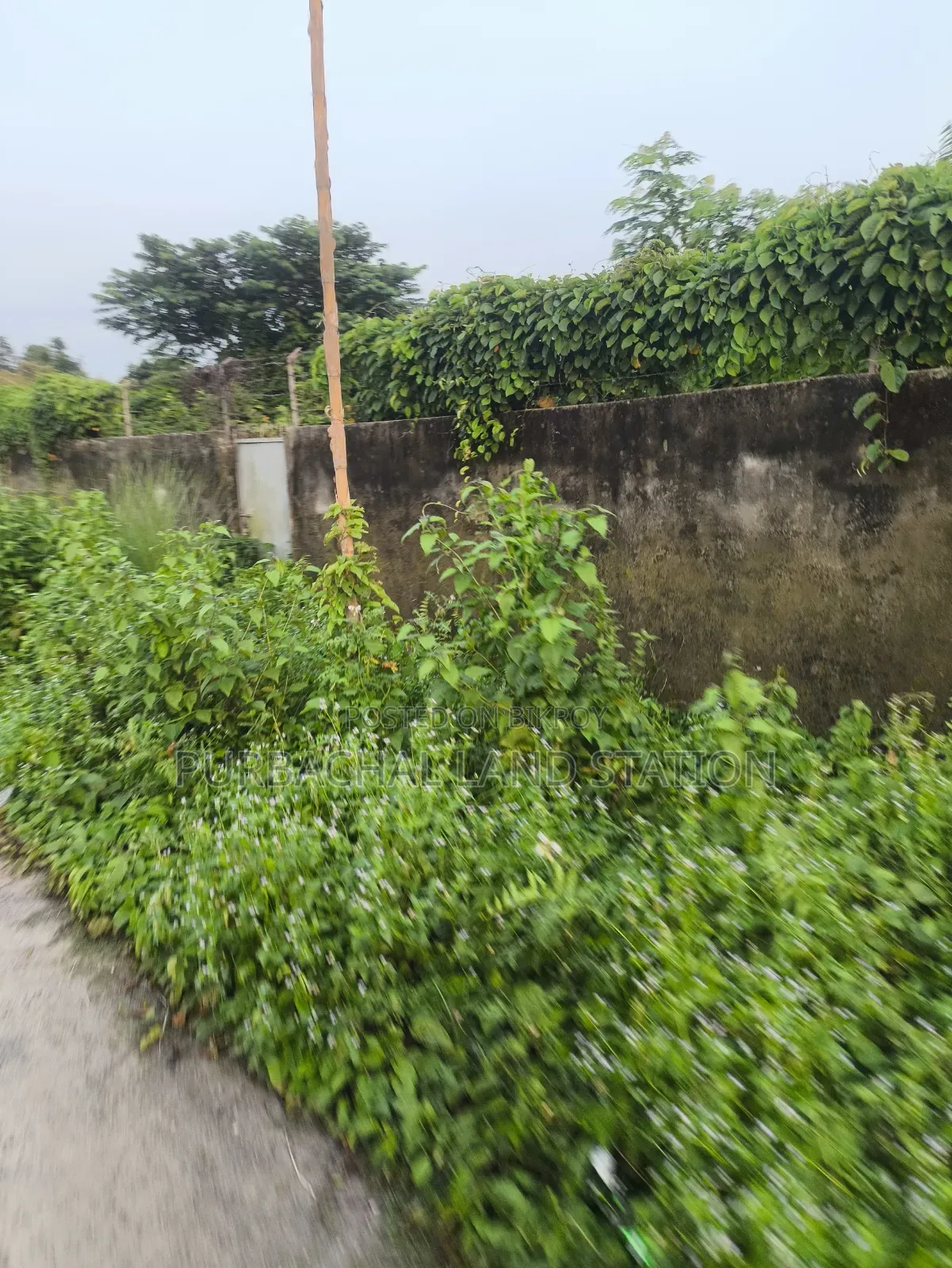 Sector 23, Prime Location 3 Katha Plot Sale in Purbachal in Purbachal