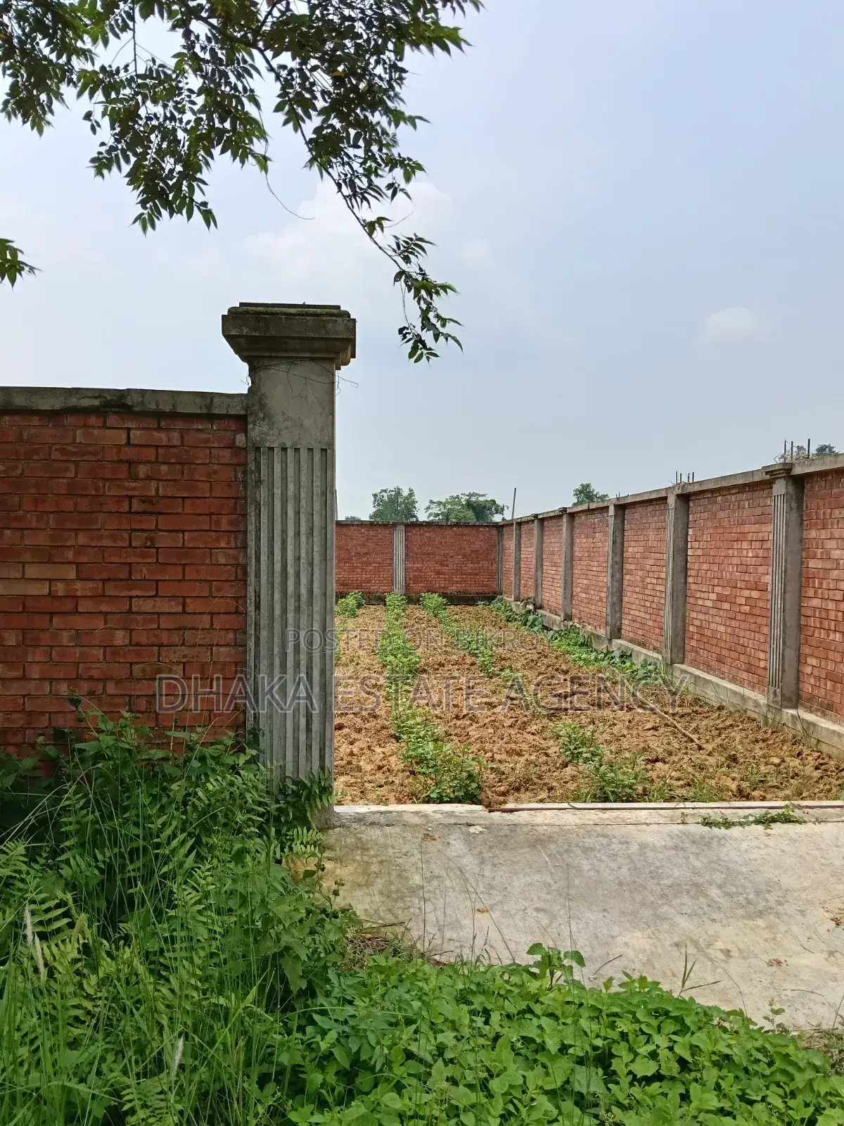75 Feet Road 7.50 Katha Sector-25, South Face in Purbachal