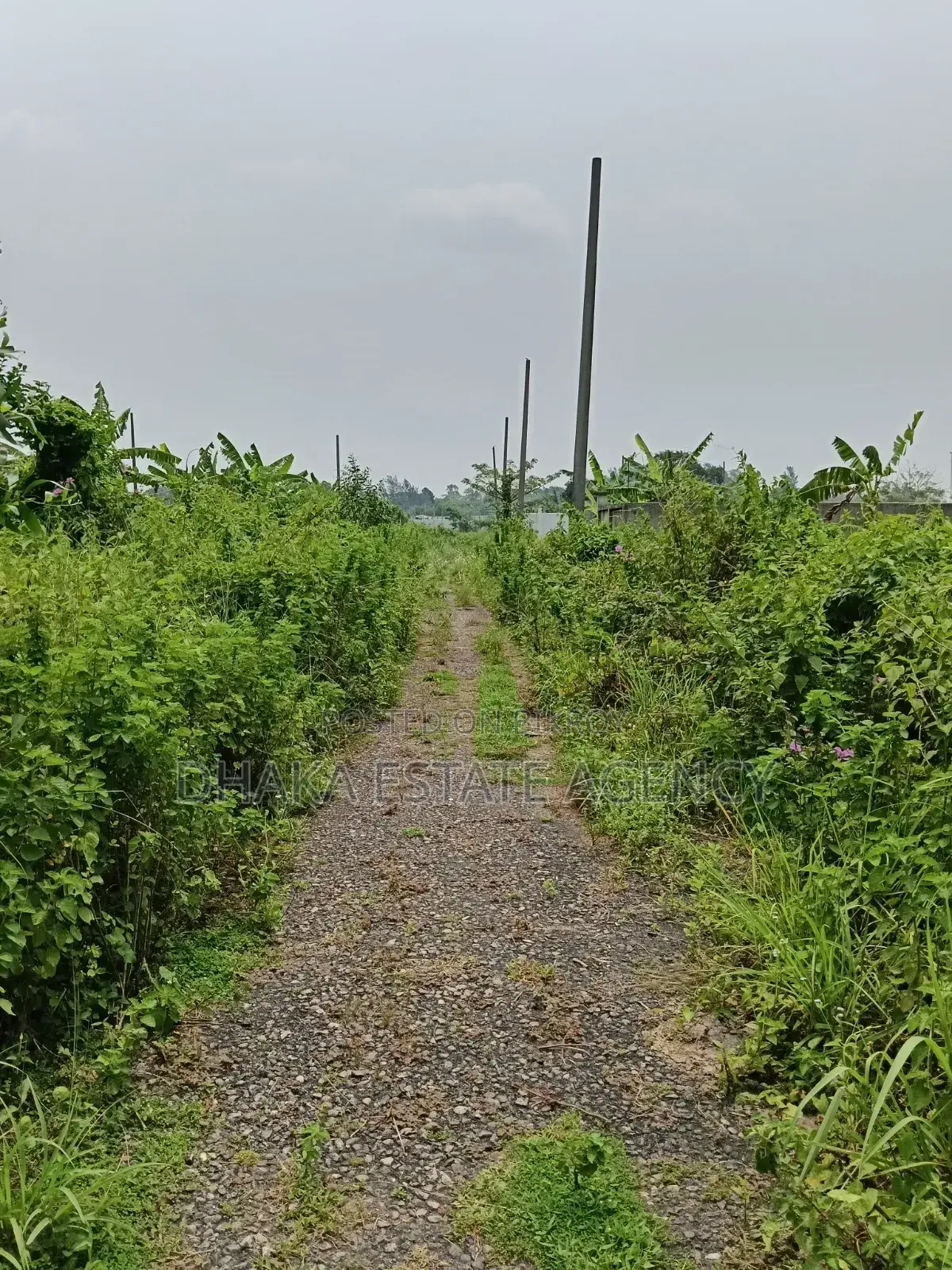 75 Feet Road 7.50 Katha Sector-25, South Face in Purbachal