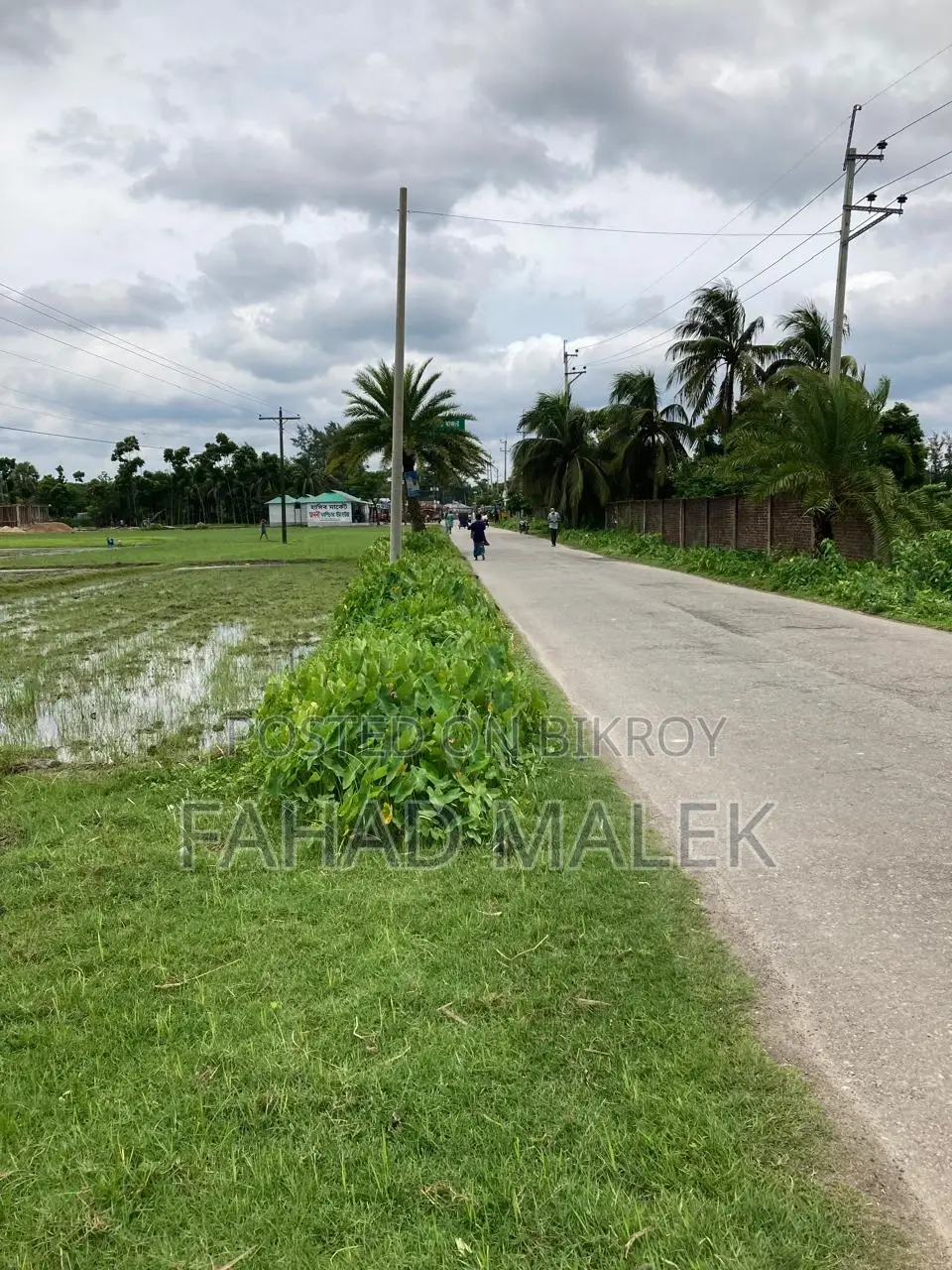 220 Decimal Prime Commercial Land Near Nstu – BDT 5 Lakh/Decimal in Noakhali Sadar