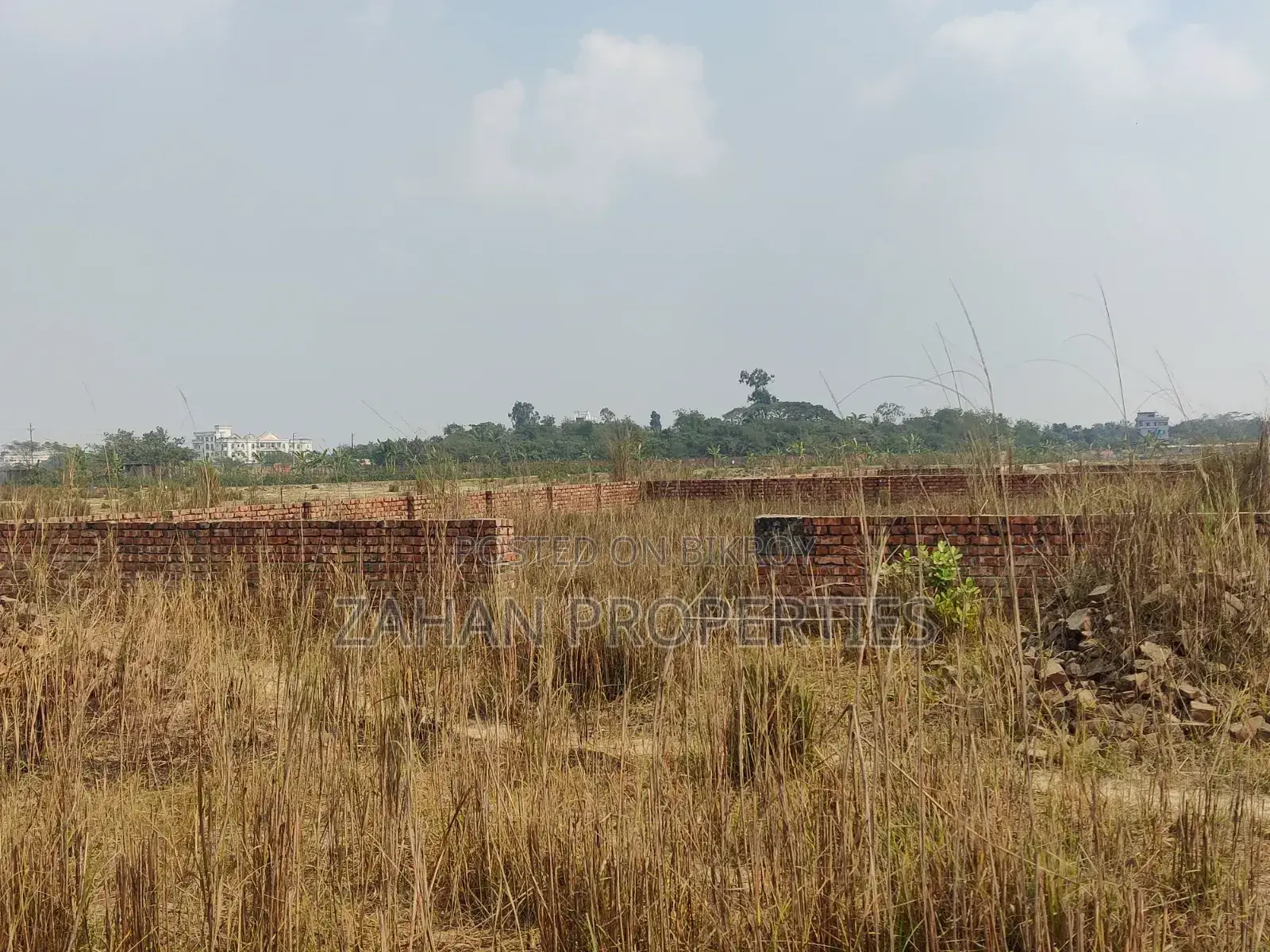 P Block South Facing 3 Katha Plot for Sale in Basundhara