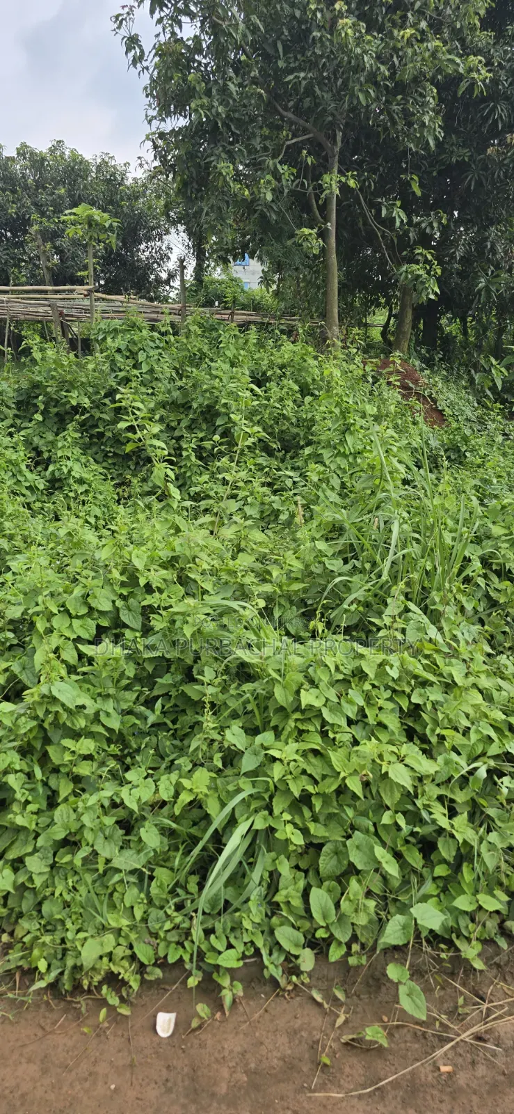 Rajuk Purbachal Sector -25, Corner 7.5 Katha Plot Sell in Purbachal