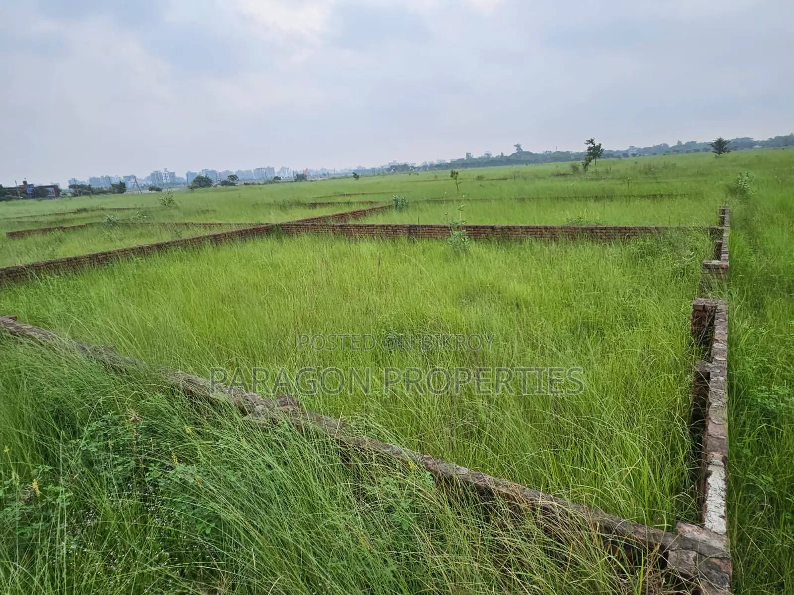 5 Katha Prime Plot | 60-Foot Front Road | P Extension Block in Basundhara