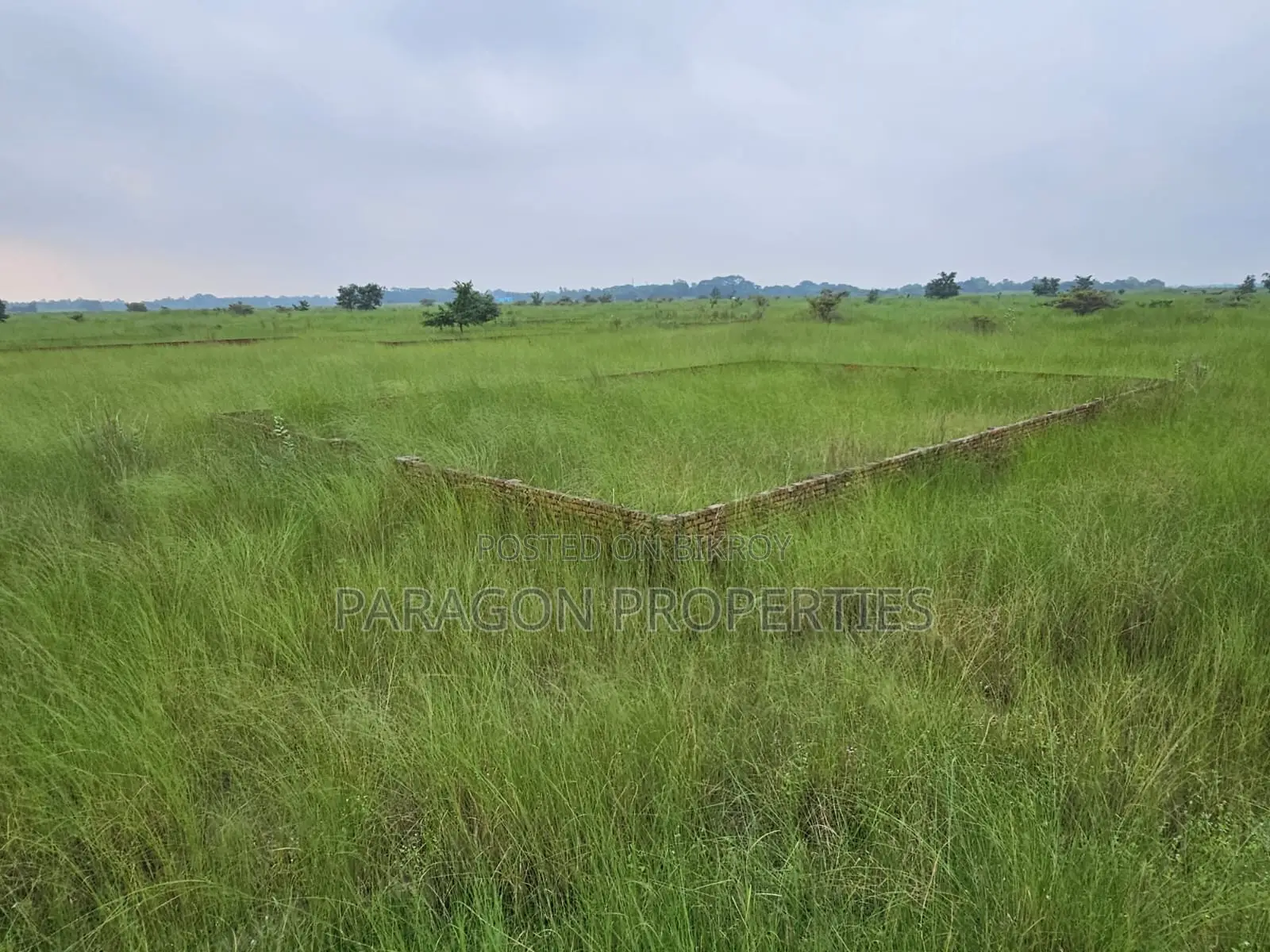 5 Katha Prime Plot | 60-Foot Front Road | P Extension Block in Basundhara