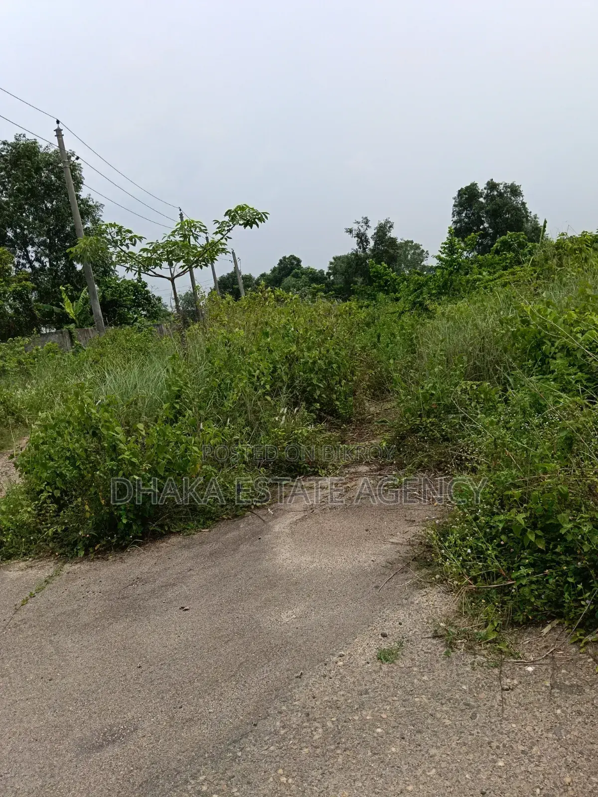 Sector-27, Near Diplomatic Zone 3 Katha Plot Sale in Purbachal