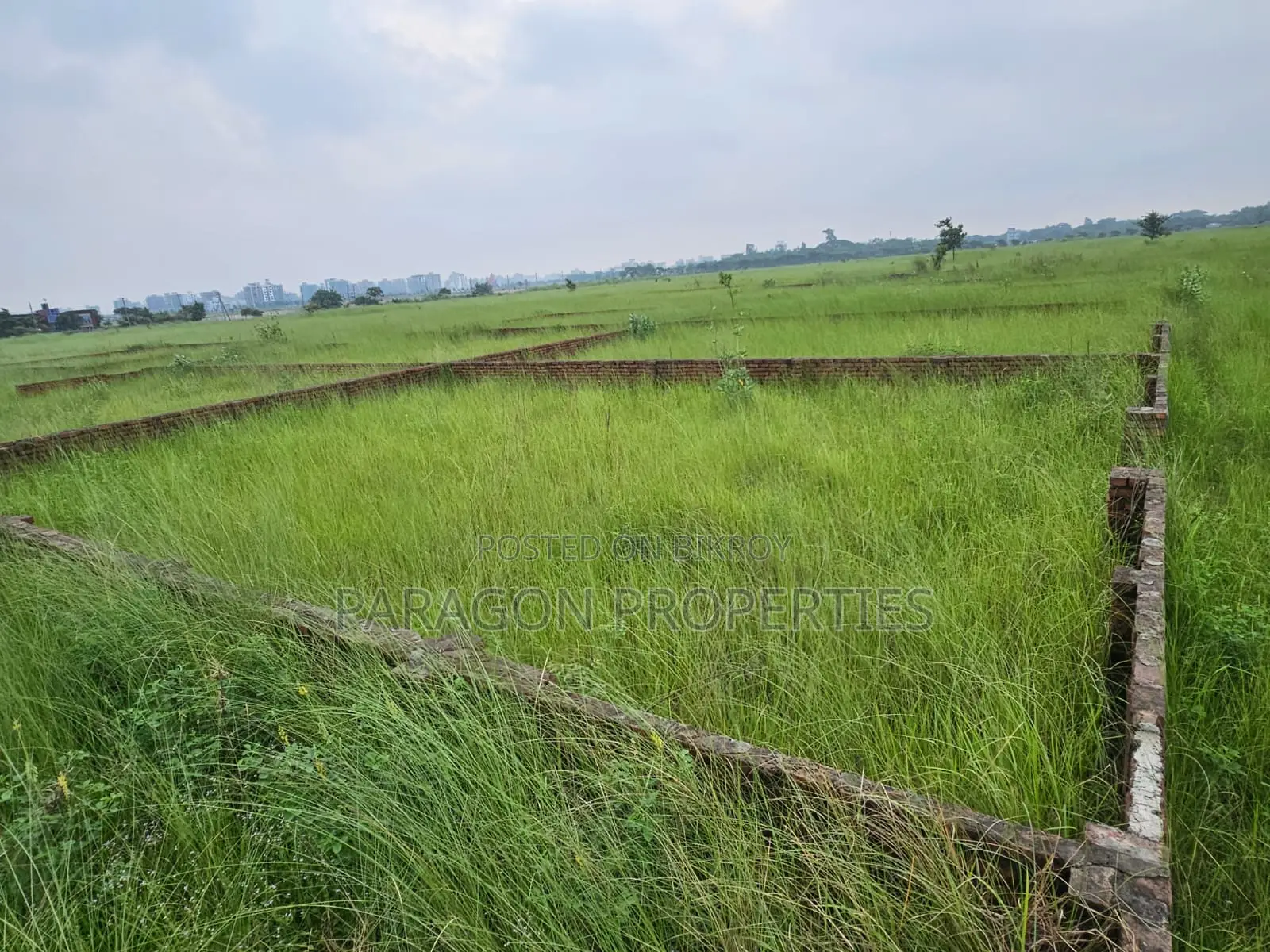 3 Katha Plot for Sale in P Extension Block Near Madani Avenue in Basundhara