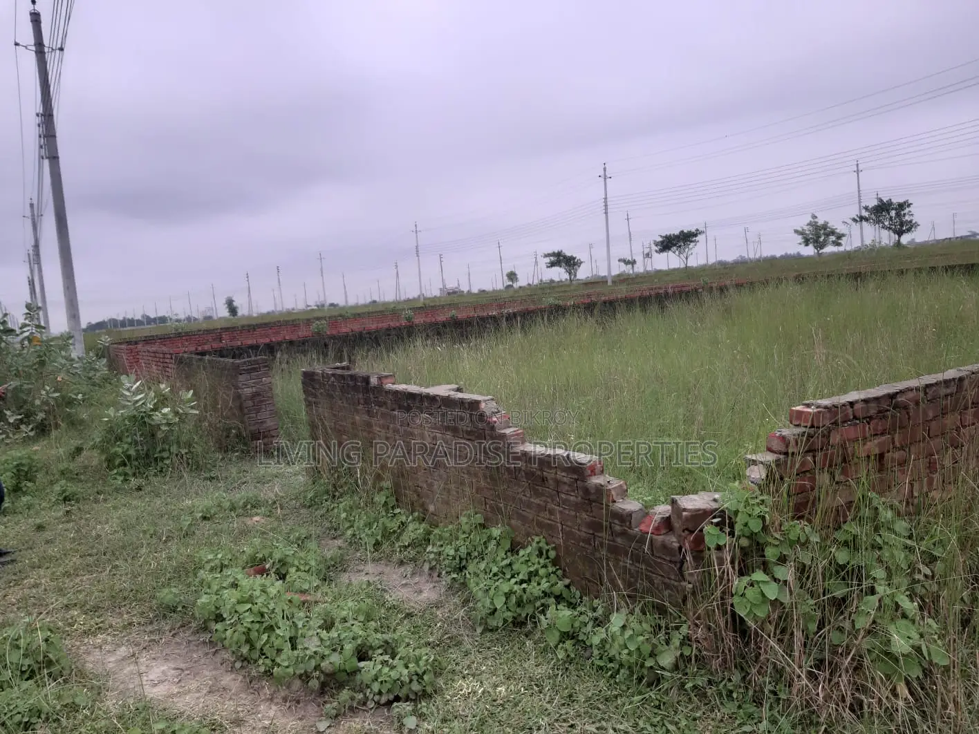 P-Extension || South Face || 4 Katha Plot || Urgent Sale in Basundhara